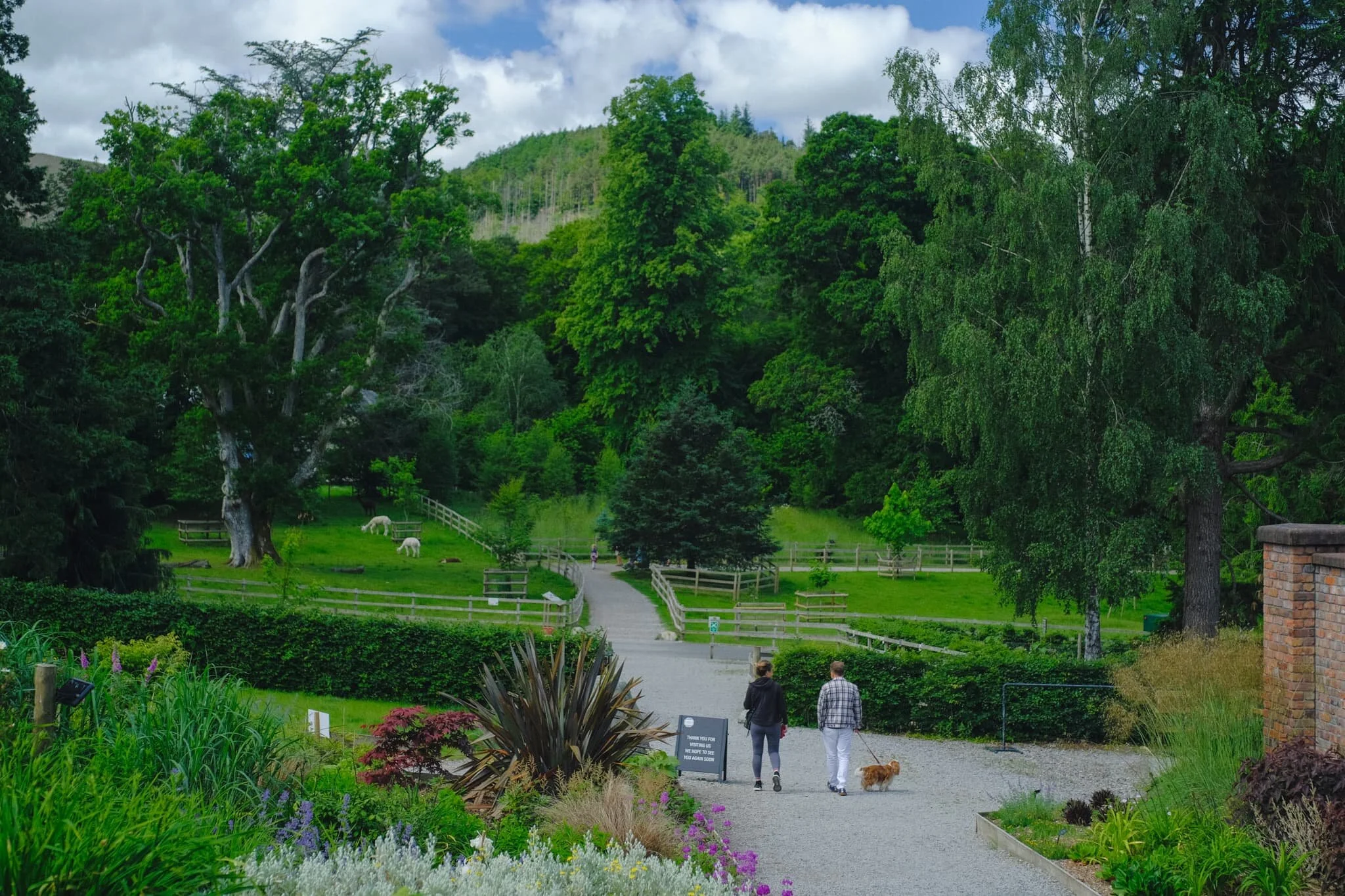 The grounds of Lingholm Estate, and especially the Walled Gardens and Kitchen, are beautifully maintained.