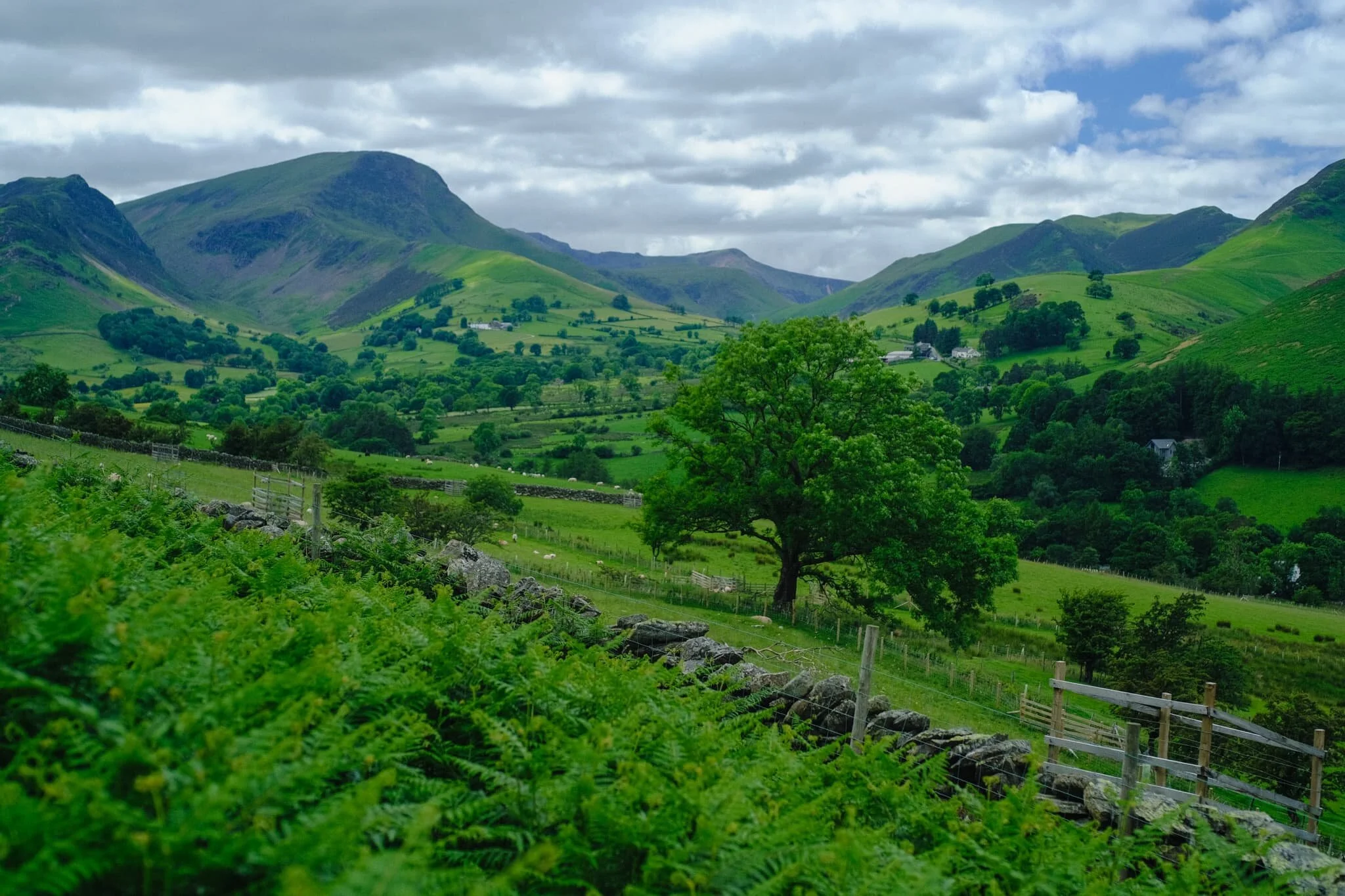 Following the minor road around Catbells’ western shoulder, the views open up more and more, giving us extensive panoramas of the Newlands fells.