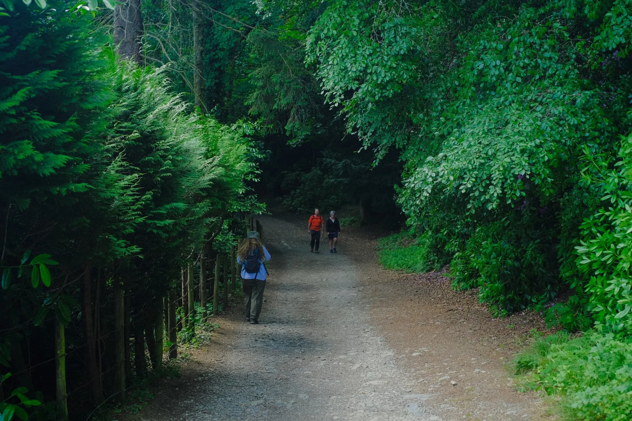 Just south of the village of Portinscale, you enter a heavily wooded area. This is all part of the Lingholm Estate , the centre of which is a Victorian mansion built in the 1870s by Alfred Waterhouse.