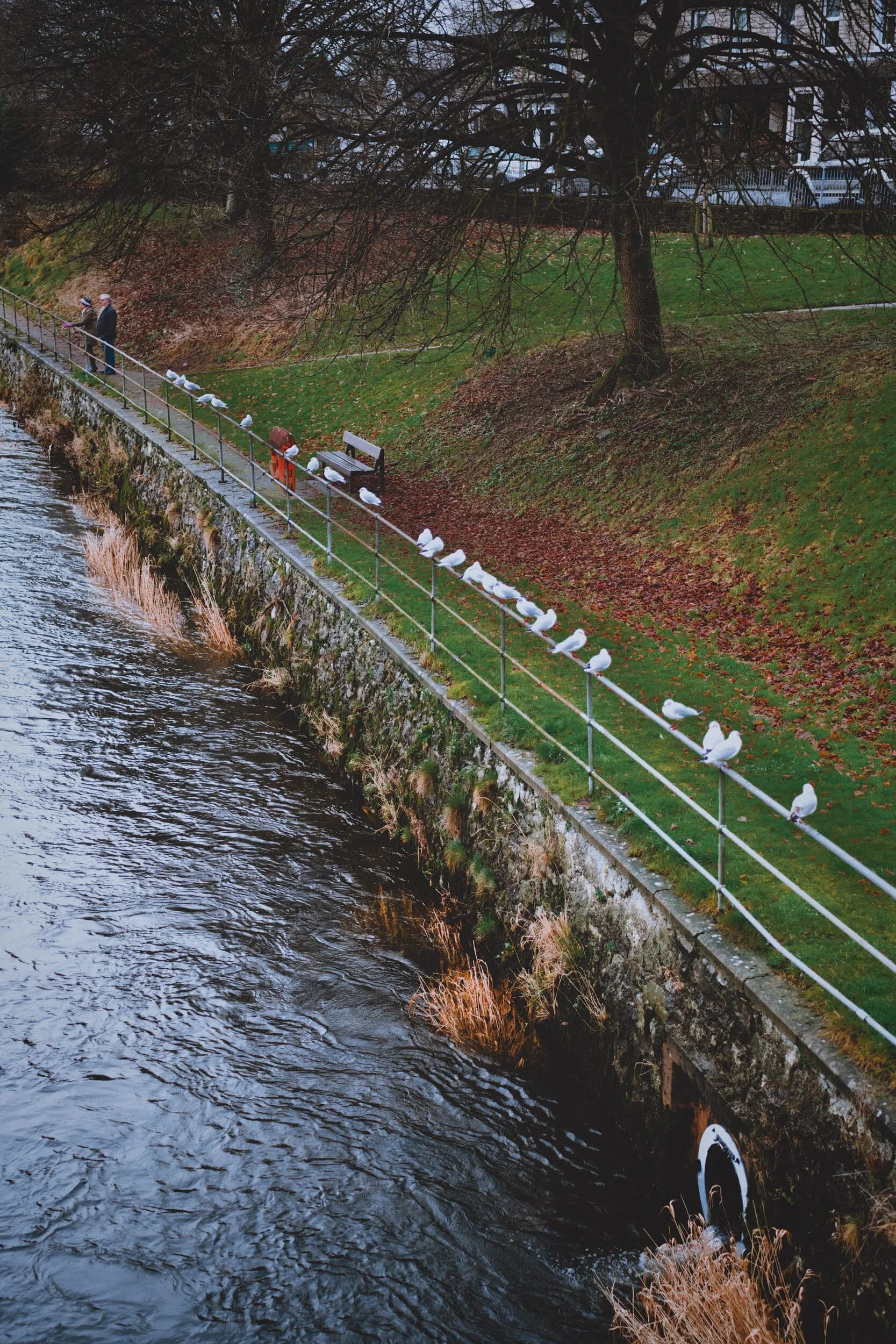 All in a row…