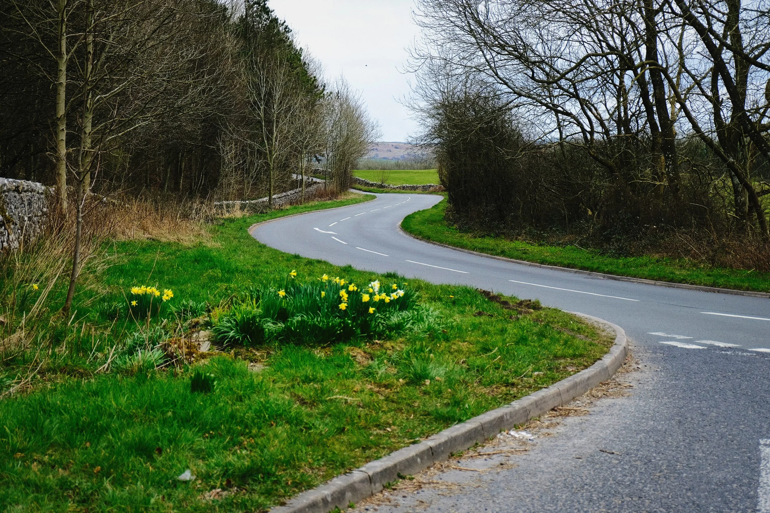 The way back home. Spring has arrived.