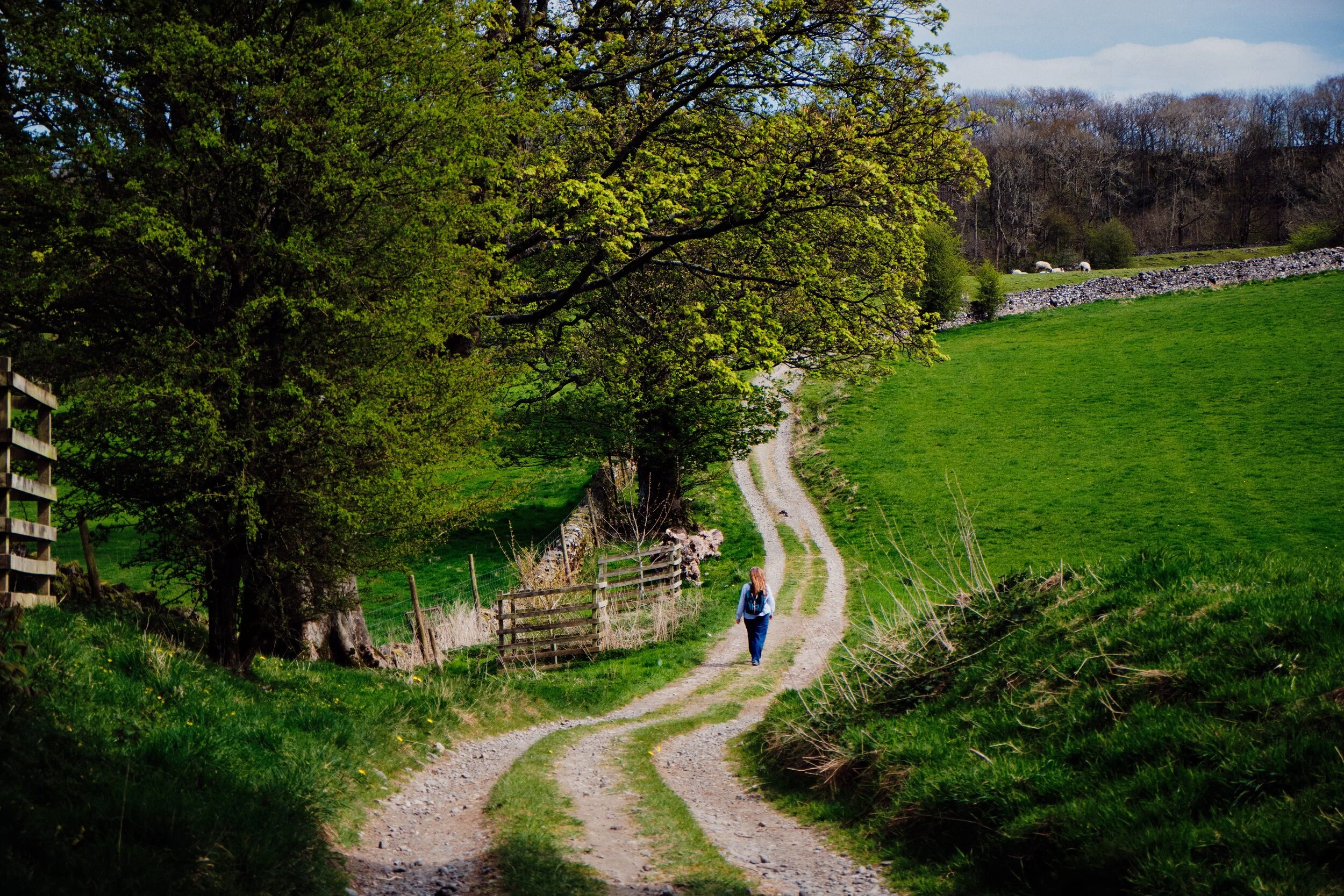 Looking east along Gamblesmire Lane, my Lisabet striding purposefully ahead.