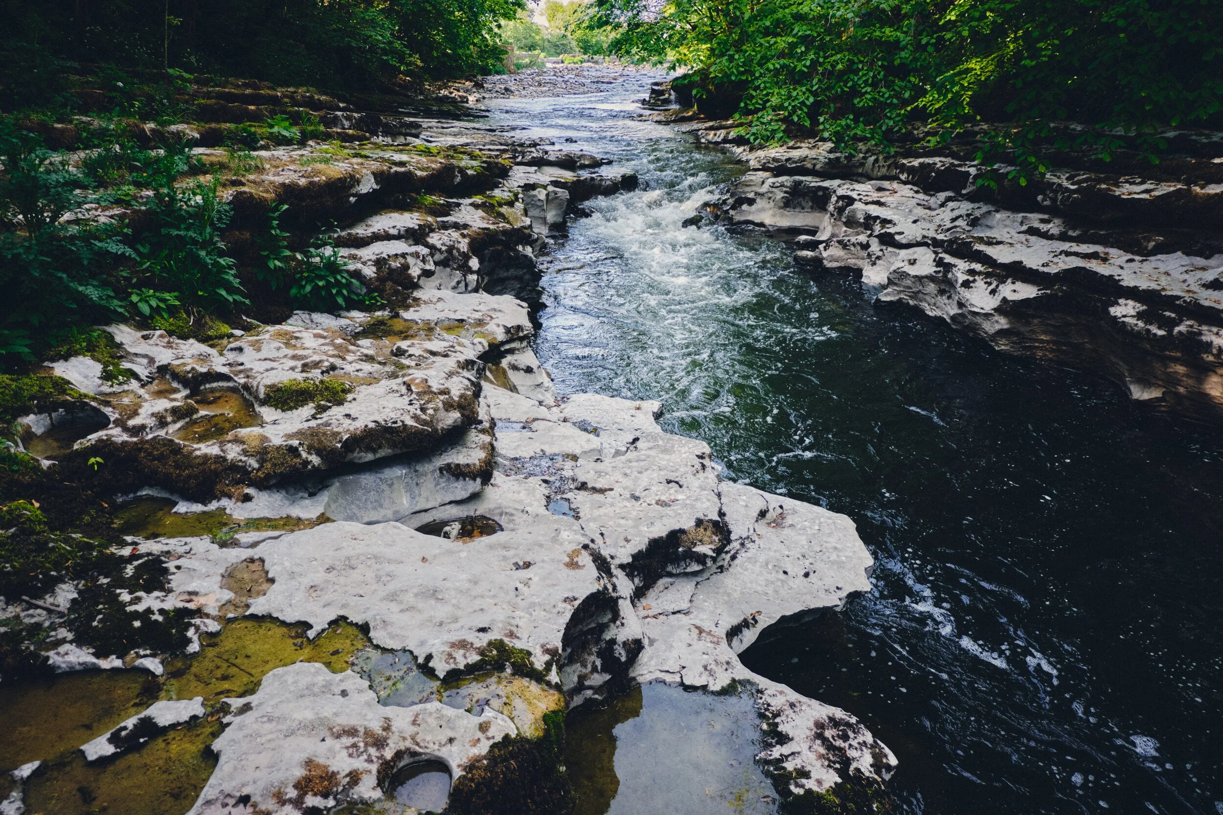 The point where the River Kent drastically narrows, essentially turning on its side and cutting out this deep limestone gorge.