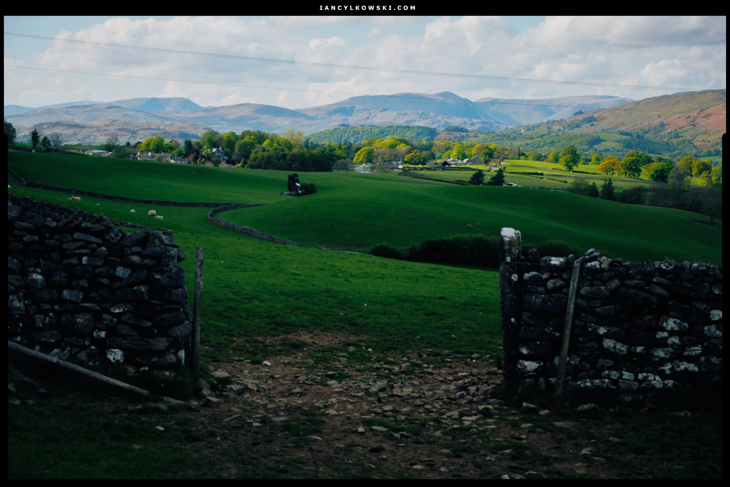 Just a wonderful Kendal upland scene with lovely light and colours.