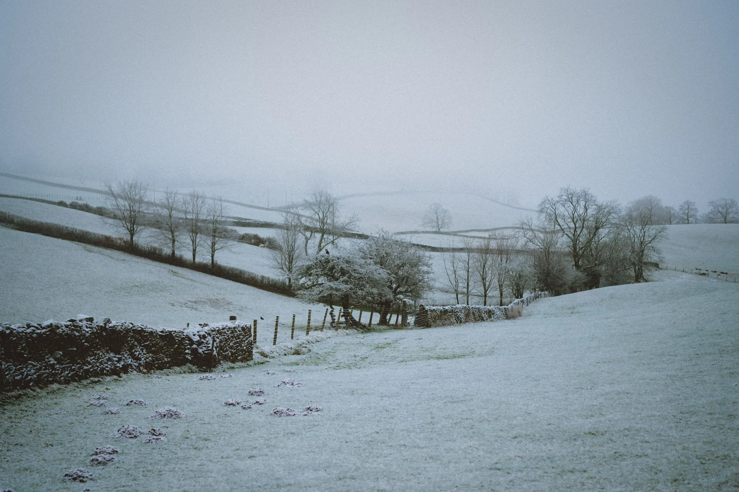 With these kinds of conditions, you can snap some rather minimalist compositions.