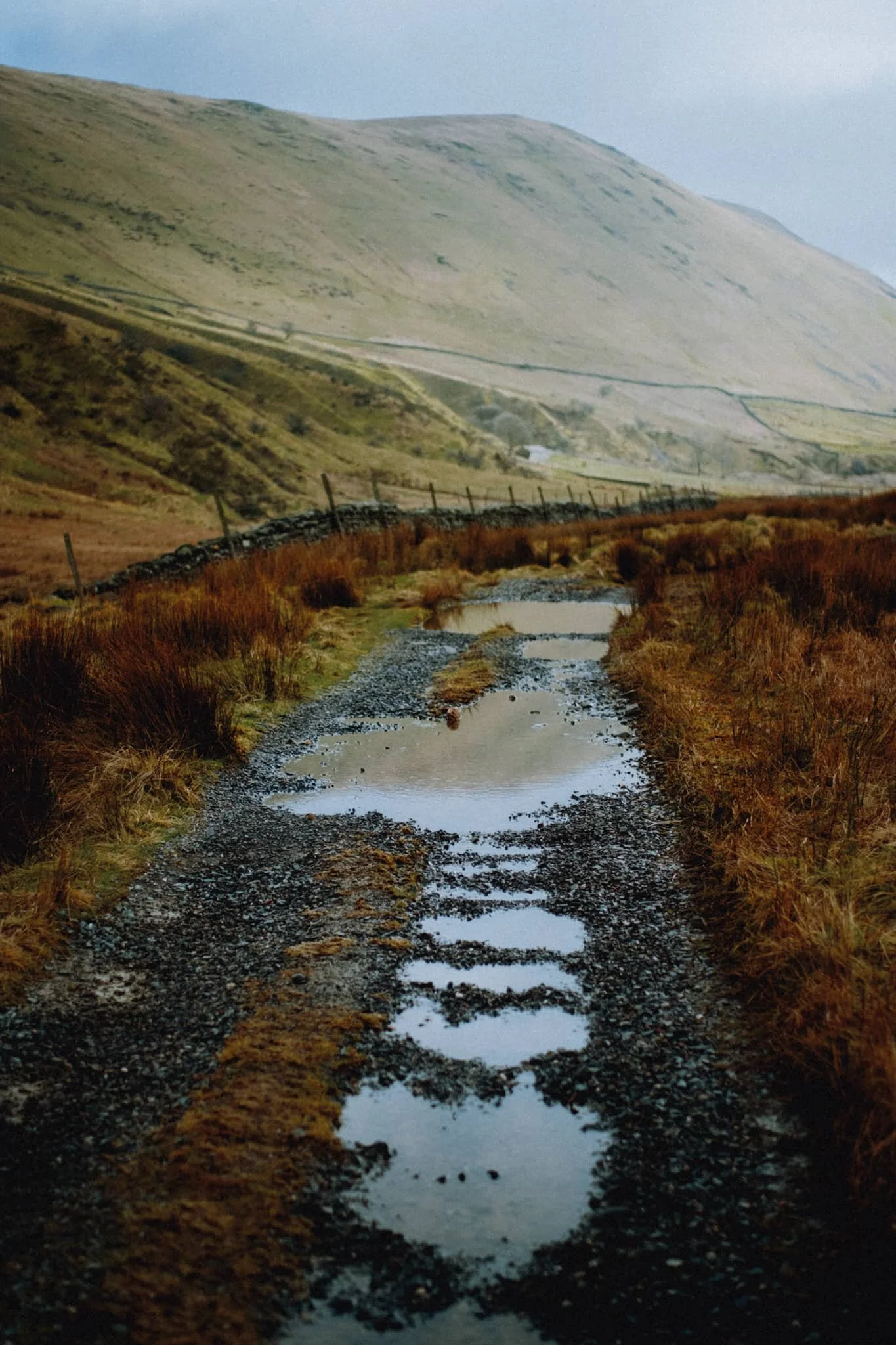 Still plenty of water about in the valley, with lots of puddles giving me an opportunity to snap some reflections. Here’s one of Winterscleugh (464 m/1,523 ft).