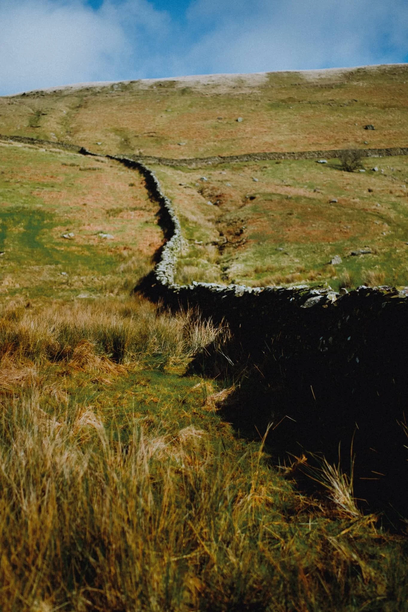 That’s right. A curving drystone wall. I can’t resist.