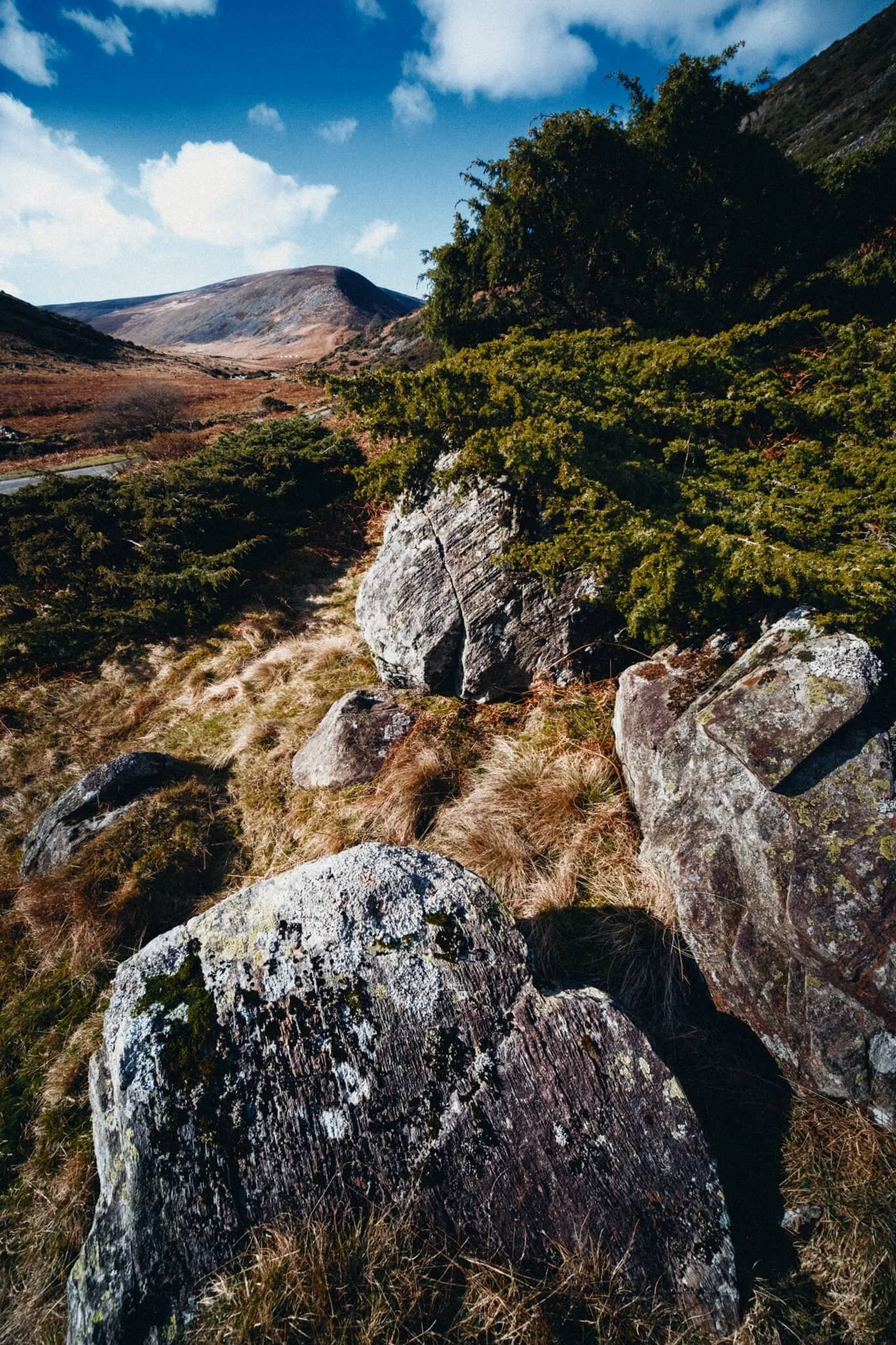 I went for wee scramble off the track to nab a composition of some of the scree and vegetation.