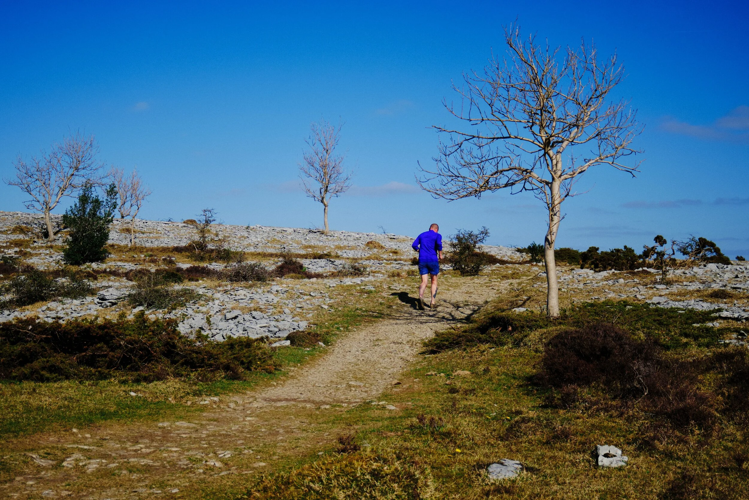 A runner ahead of us, as we take the route back down to Kendal from Scout Scar.