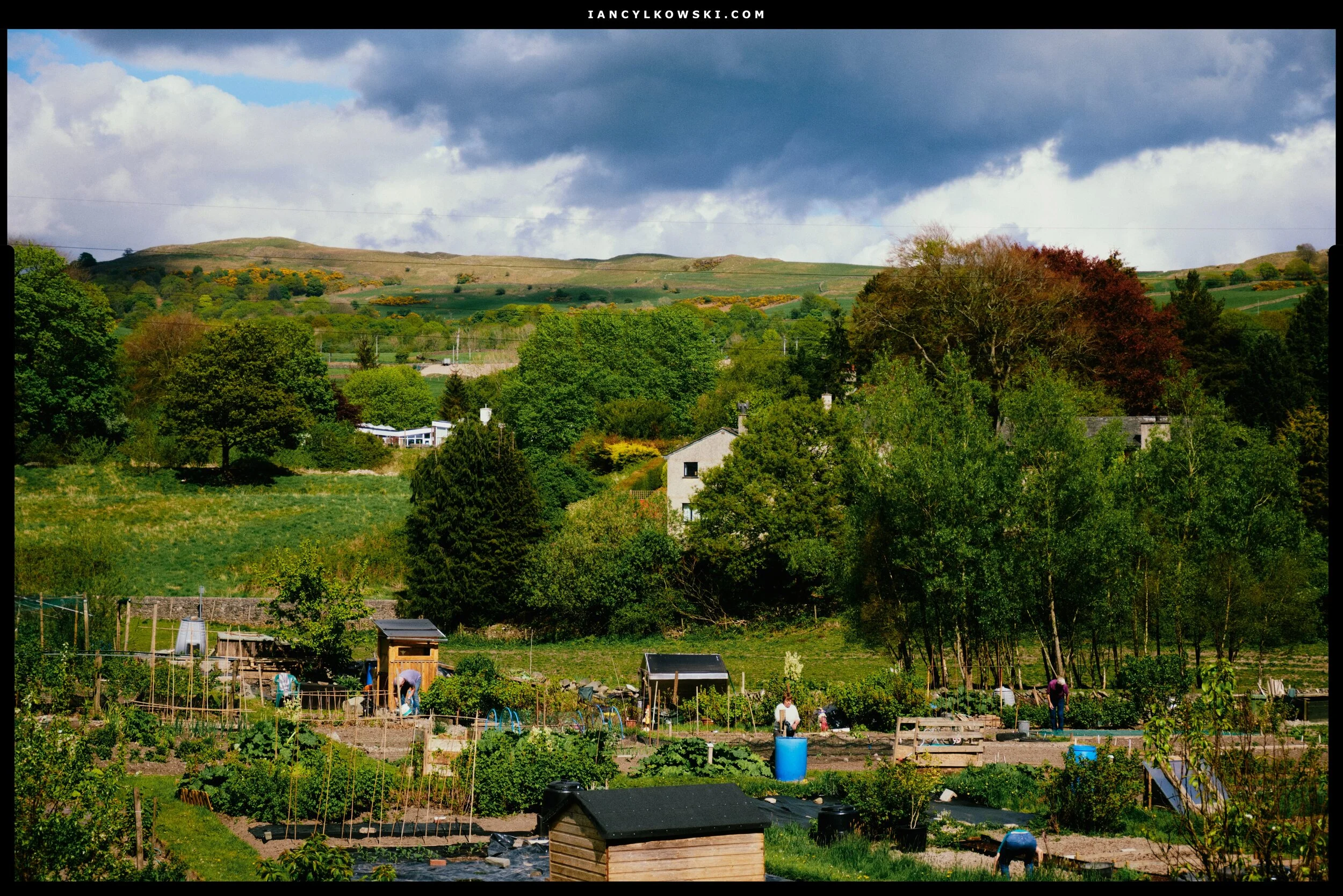 People working on their allotments, no doubt maintaining social distancing rules.
