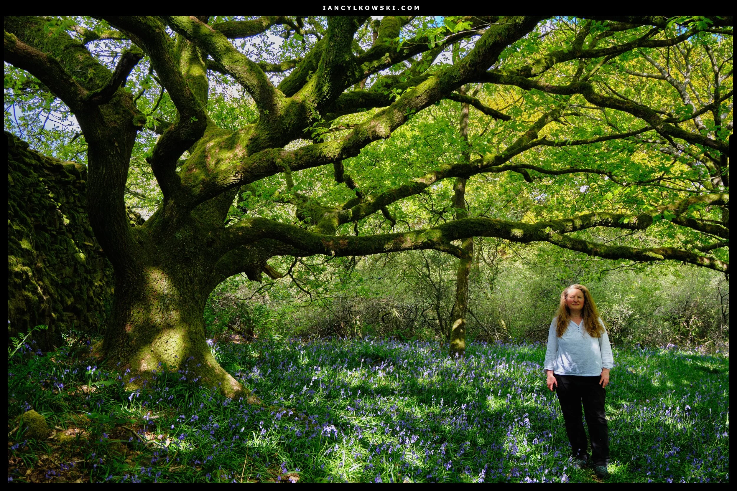 This is actually a rare image, because my lovely Lisabet actually requested to be photographed! So here she is, looking beautiful as always next to my favourite in these woods.