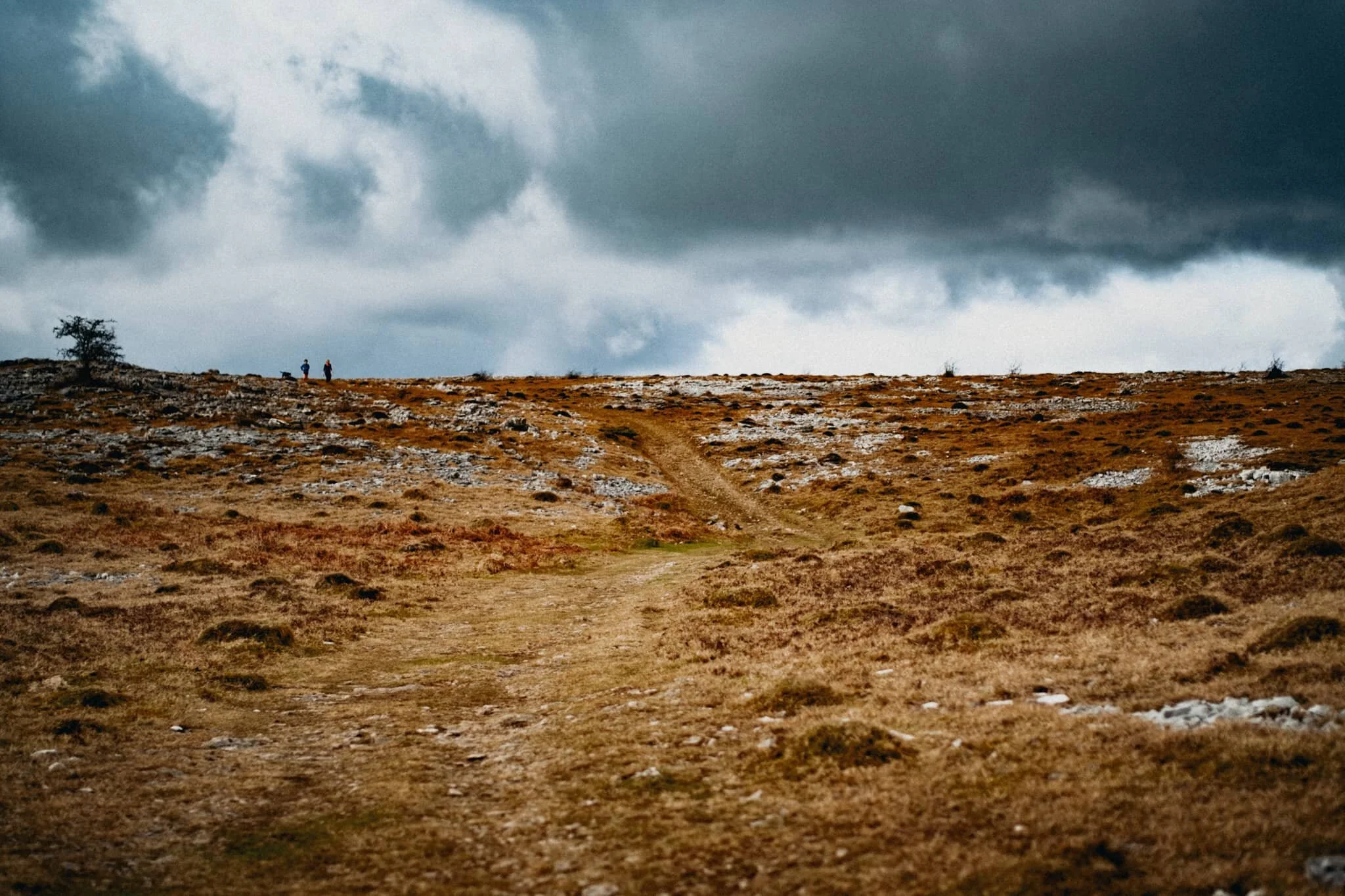 The way forward, with some runners up ahead. The sky was a lot more dramatic today, but still thankfully dry.