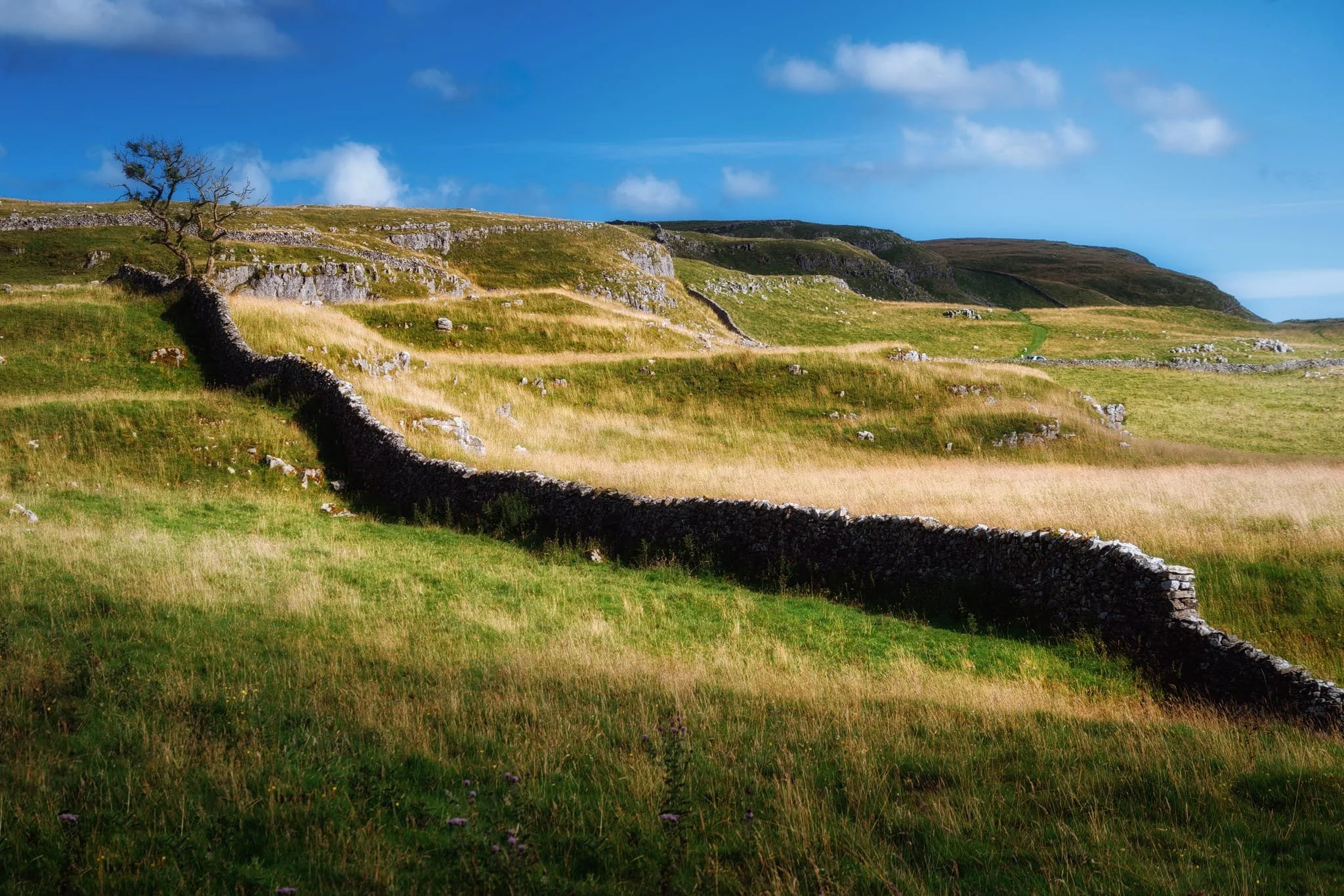Oh look, Ian takes another photo of a drystone wall. But they’re so cool! And, in this photo, really aid composition. In the distance are the cliffs of Attermire Scar.