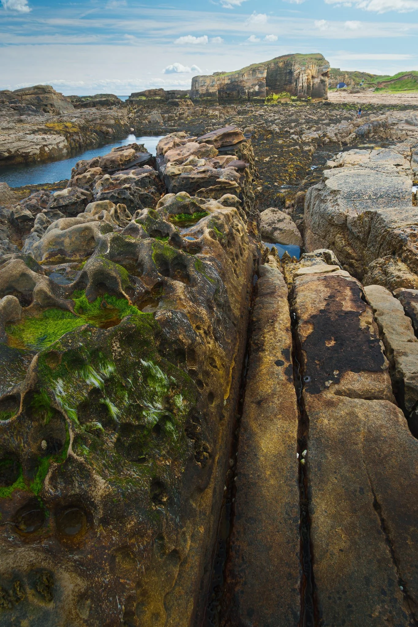 Those deep, rounded pits are caused by salt crystal growth and wet-dry cycling attacking the iron-cemented sandstone, gradually flaking it into a bee-nest pattern. Isn’t that fascinating? Amazing what nature can do, slowly, given enough time. The long, narrow trench running down the middle follows a vertical fracture; waves and sand-grit slurry have prised that joint open, deepening it into today’s little channel.