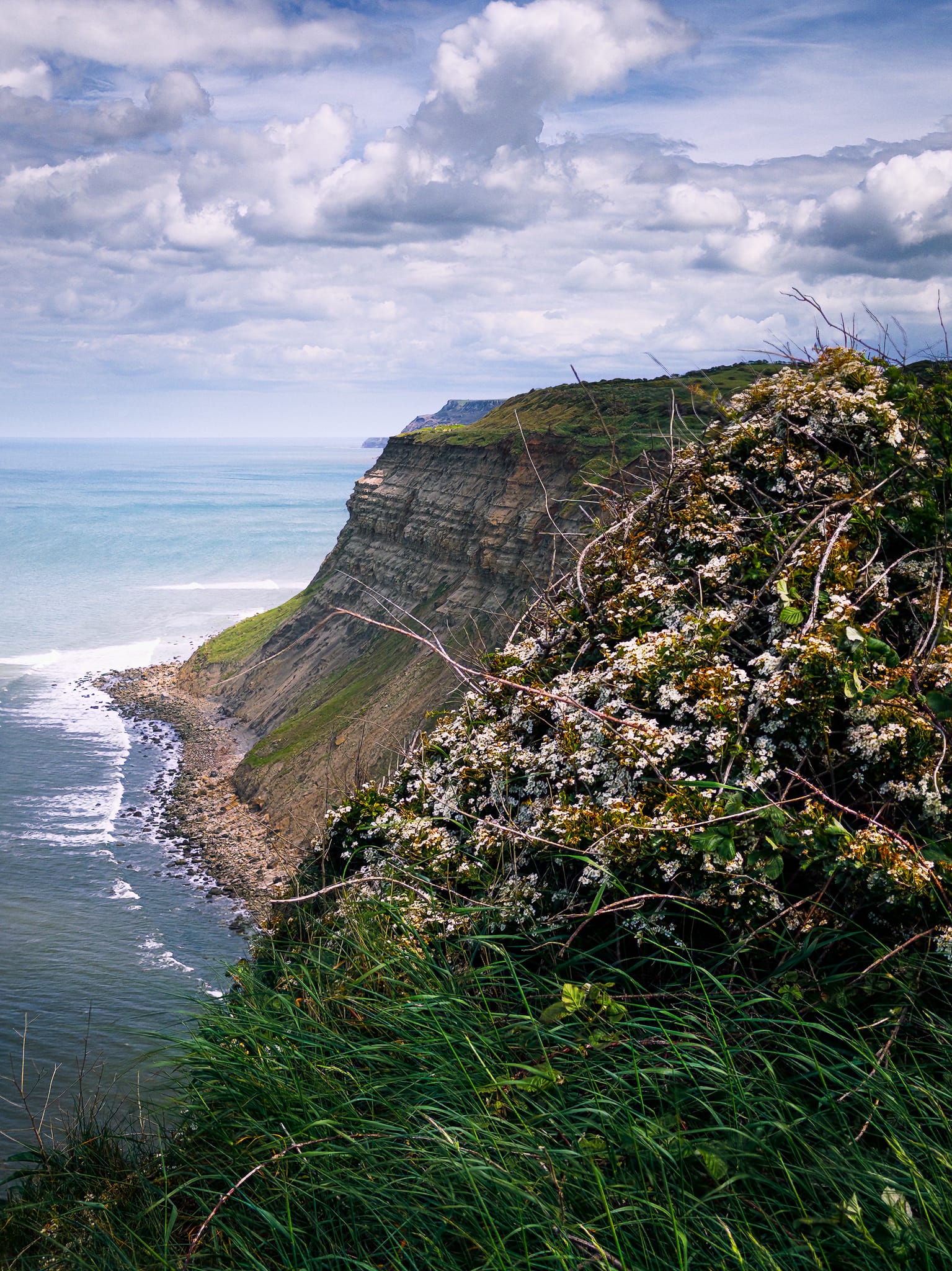 After meandering around the beach, it was time to join the Cleveland Coast Path up onto the cliffs. That meant views like this.