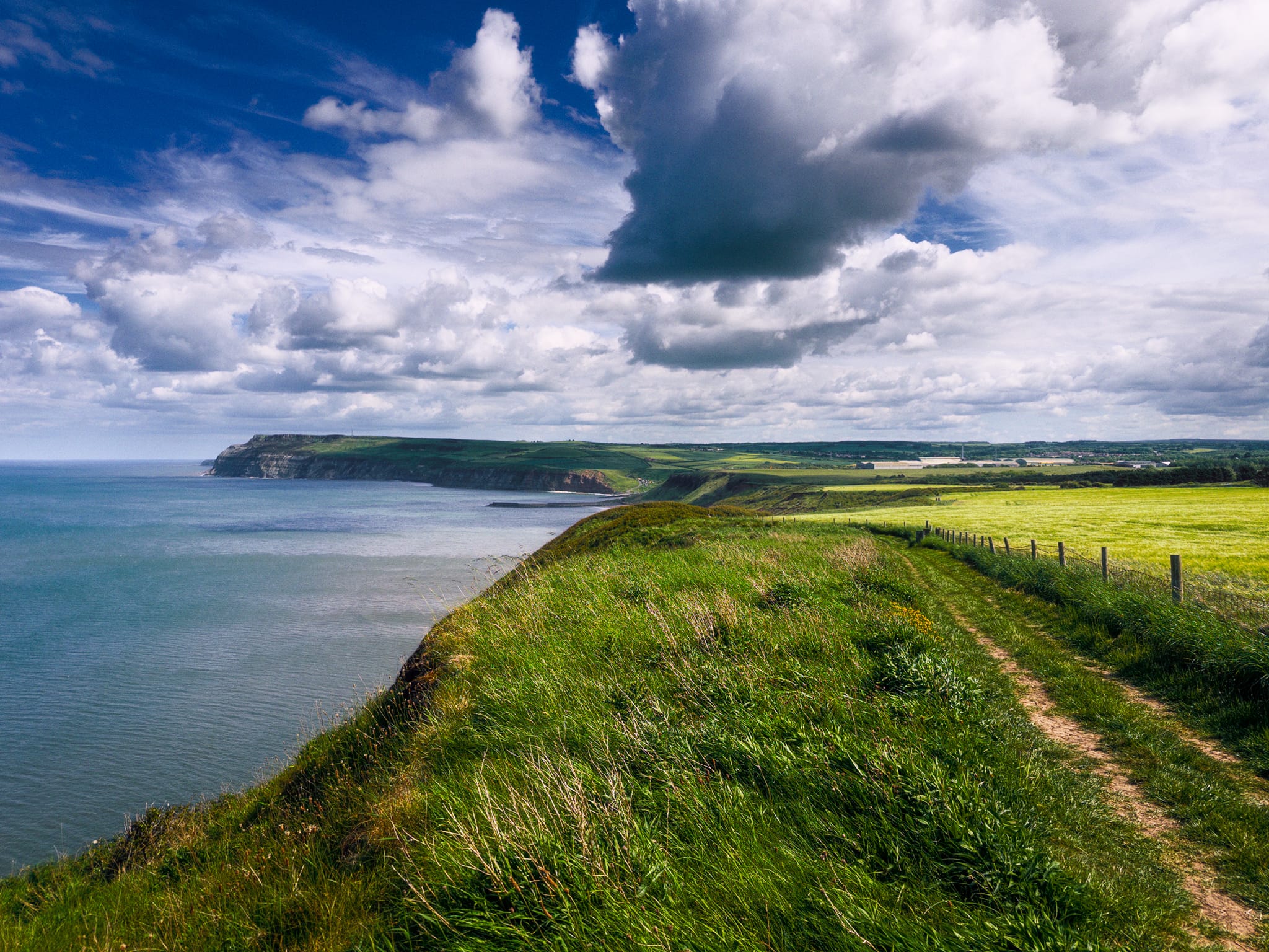 By this point, the trail started to descend down to Cattersty Sands before rising back up to the cliffs and into Hummersea Nature Reserve. I nabbed a final composition before we turned back and retraced our steps.
