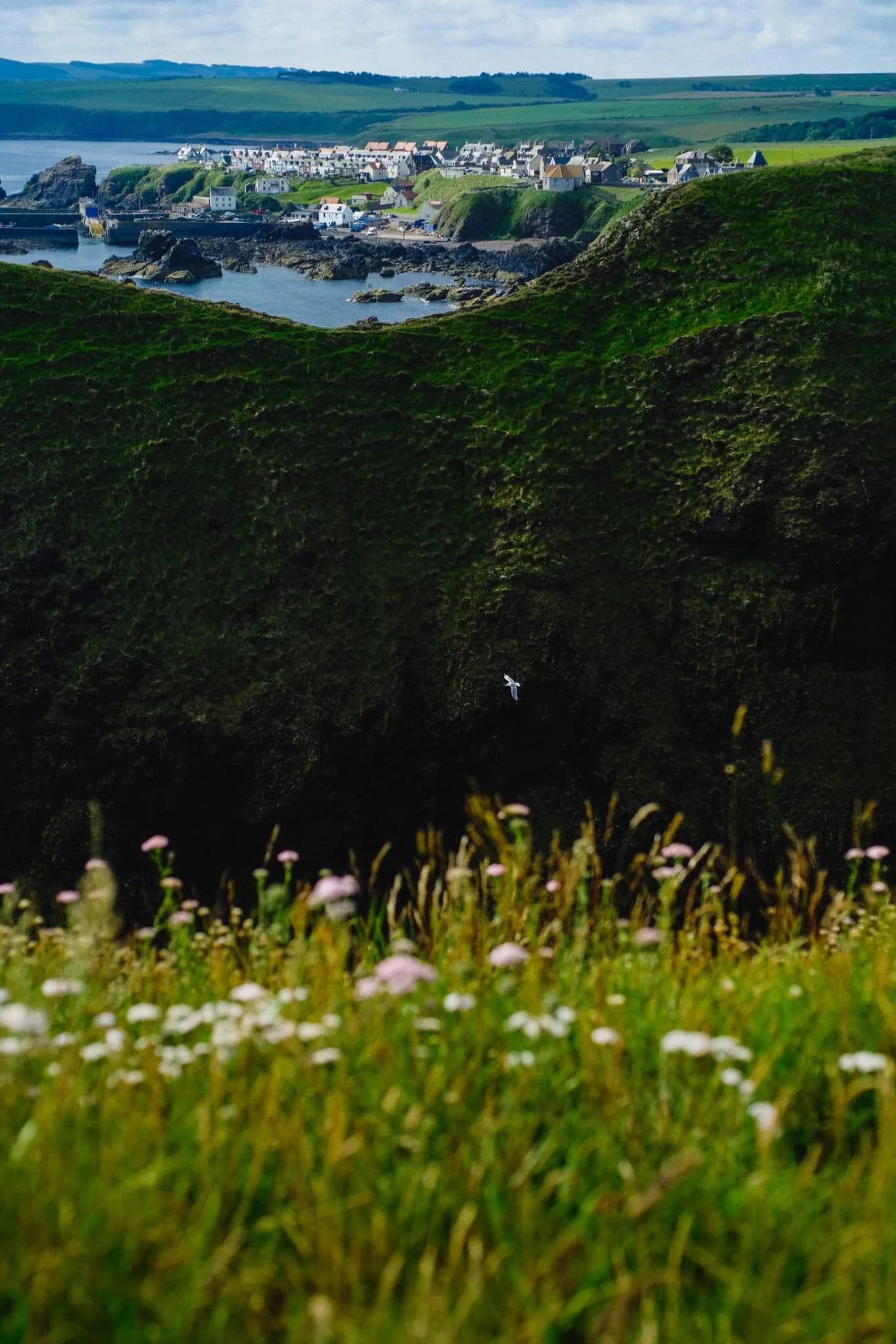 A more… unusual composition of the village. Here I nestled next to the cliff edge to get these flowers in the bottom of the photo, followed by the sheer cliff face known as White Heugh, then the village in the distance. I then waited for any of the sea birds to fly into view before pressing the shutter.