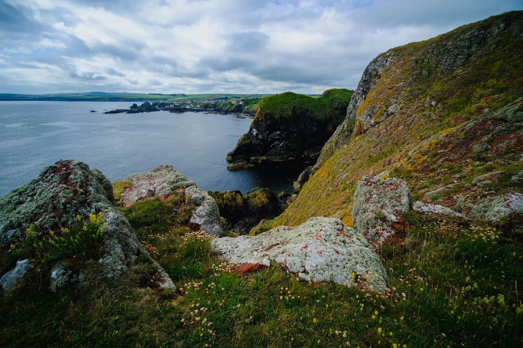Although I’ve been to St. Abb’s Head a few times now, I’ve never visited in the peak of summer. What I didn’t expect was the sheer variety and colour of all the flora around the cliffs. Astounding! Here’s the view looking straight down from above Wuddy Rocks towards White Heugh cliff and the distant village of St. Abb’s.