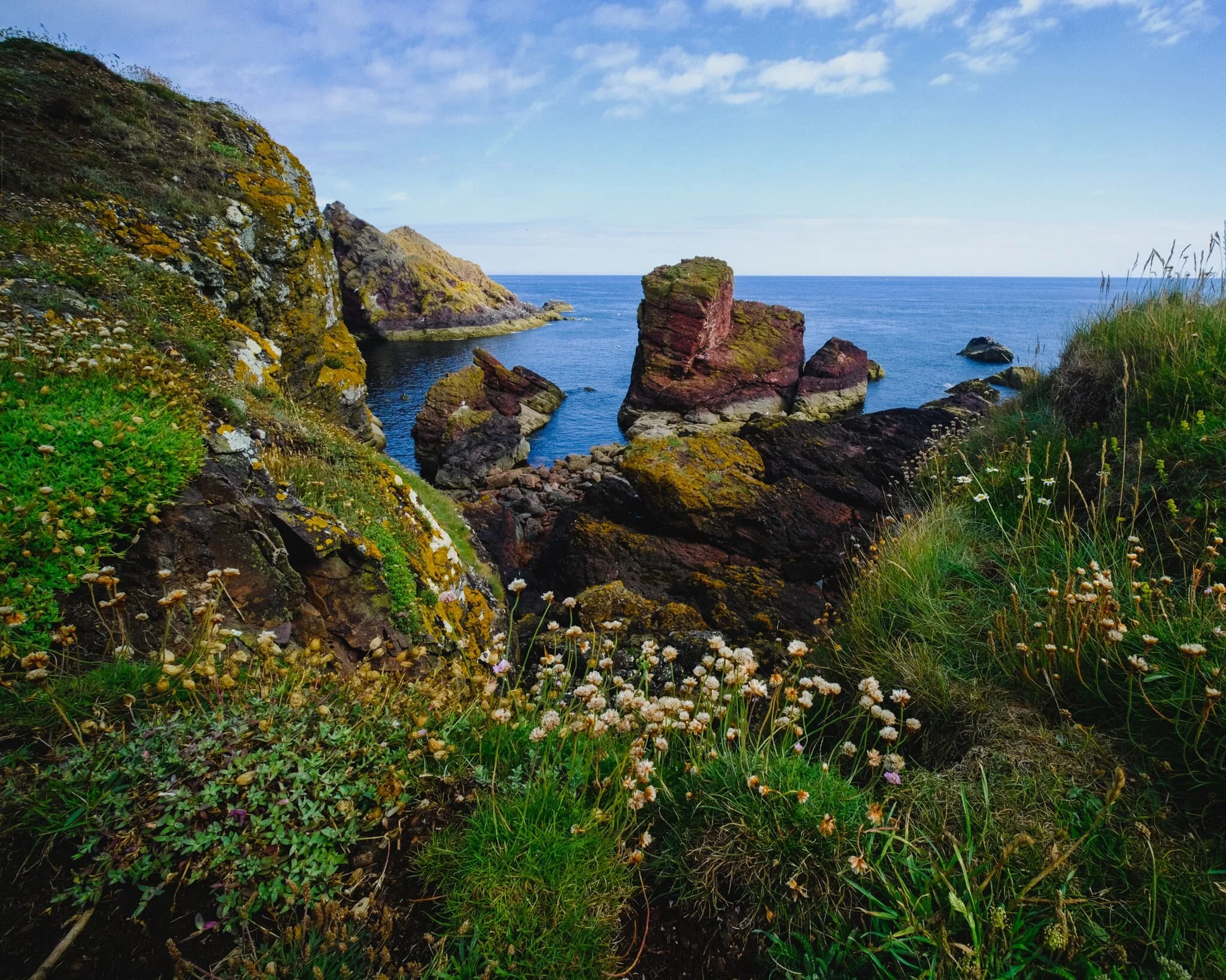 At Horsecastle Bay, this scene presents itself to us. In fact, as it came into view, Lisabet heard me mutter, “Oh, fuck off!” Wildflowers adorn the cliff edge, framing the various rocks in the bay and the curious boot-shaped red sea stack.