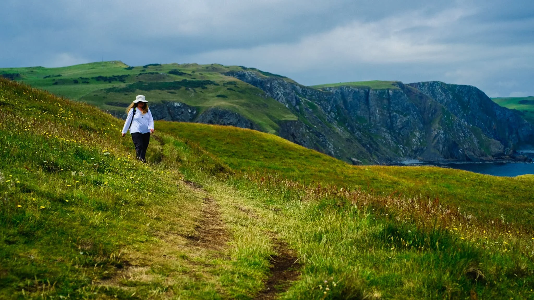 Towards the edge of West Hurker, the northwestern part of St. Abb’s Head, the path becomes gentler as the cliffs of Uilystrand Brae grow in stature.