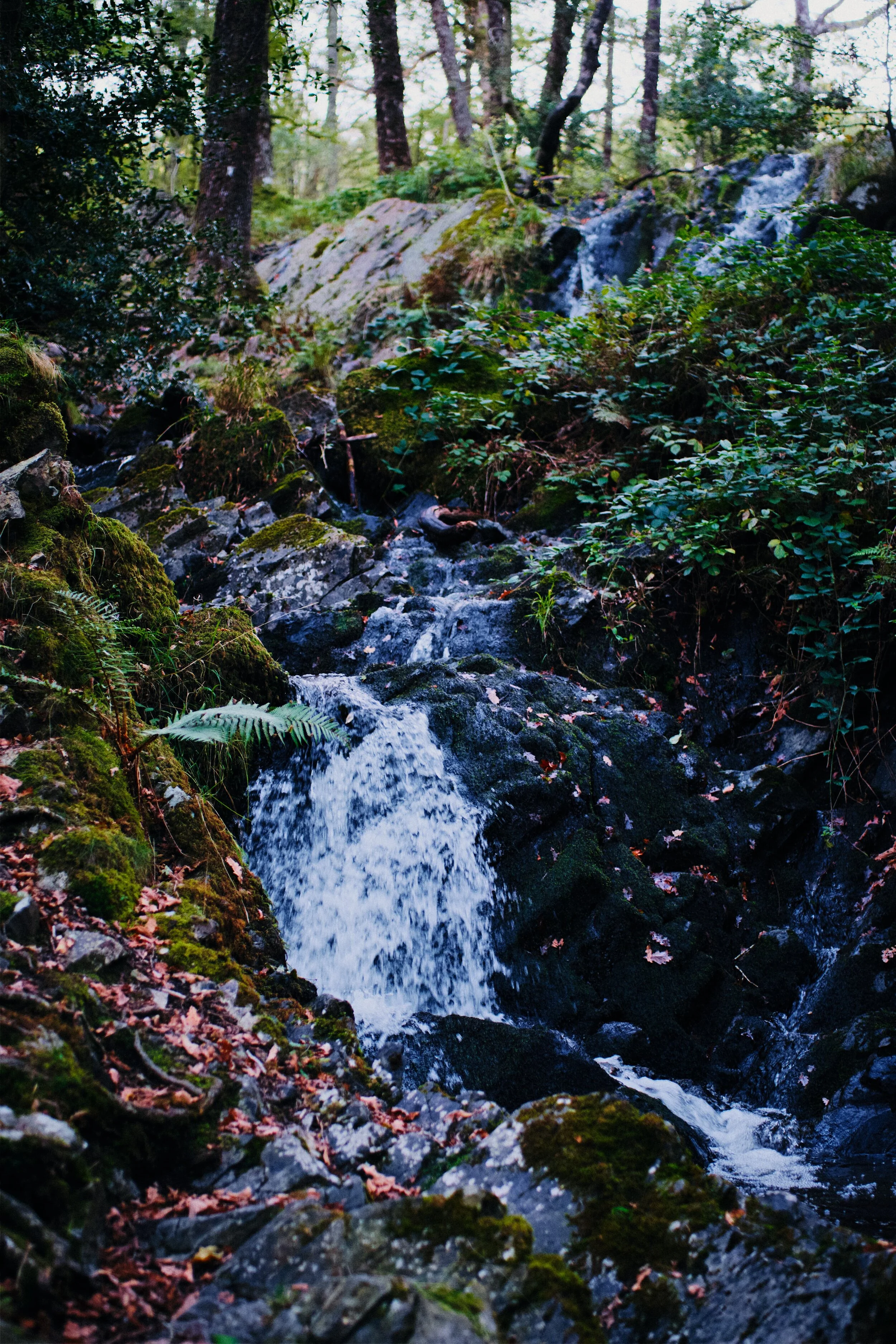 The first of the cascades known as Tom Gill falls. Starting to get some autumn colours in the Lake District now.