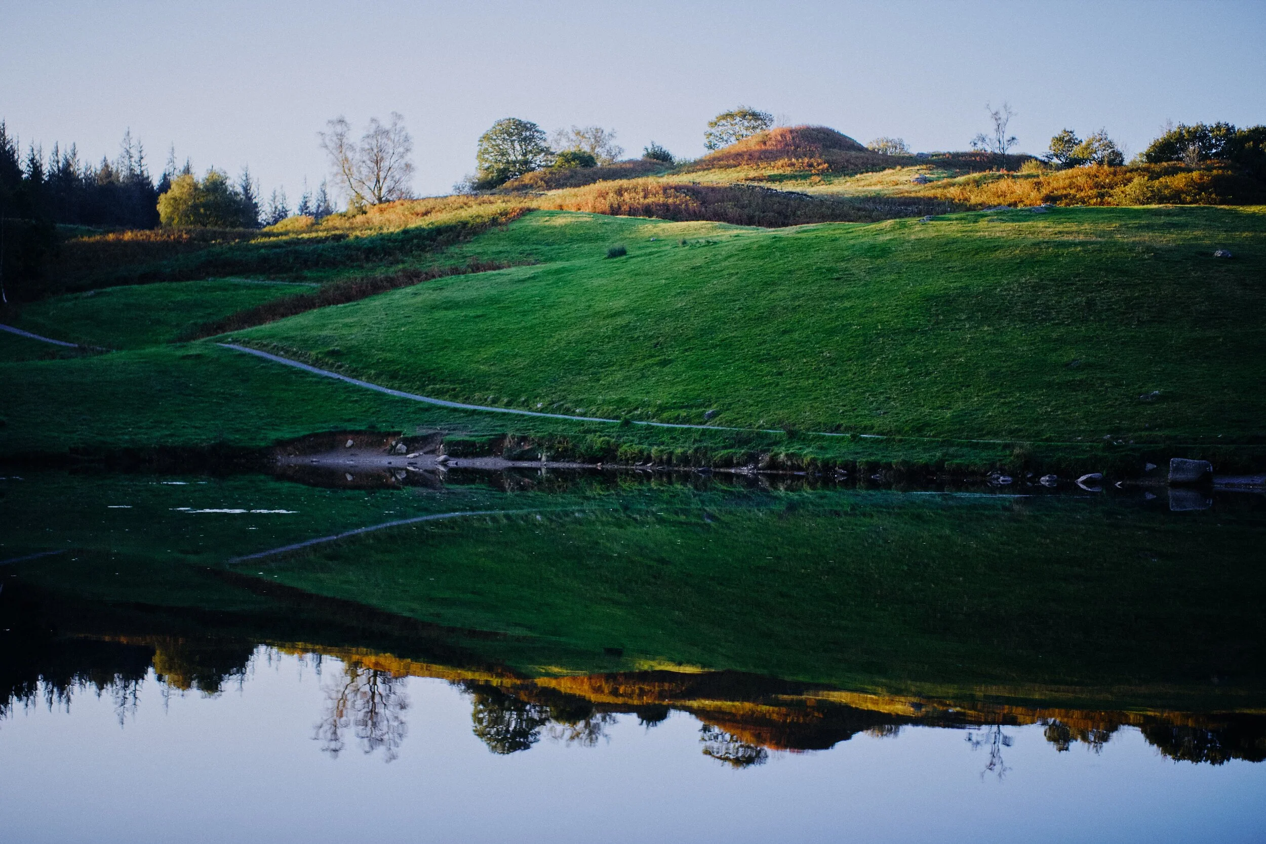 Perfect reflections of the south bank of Tarn Hows.