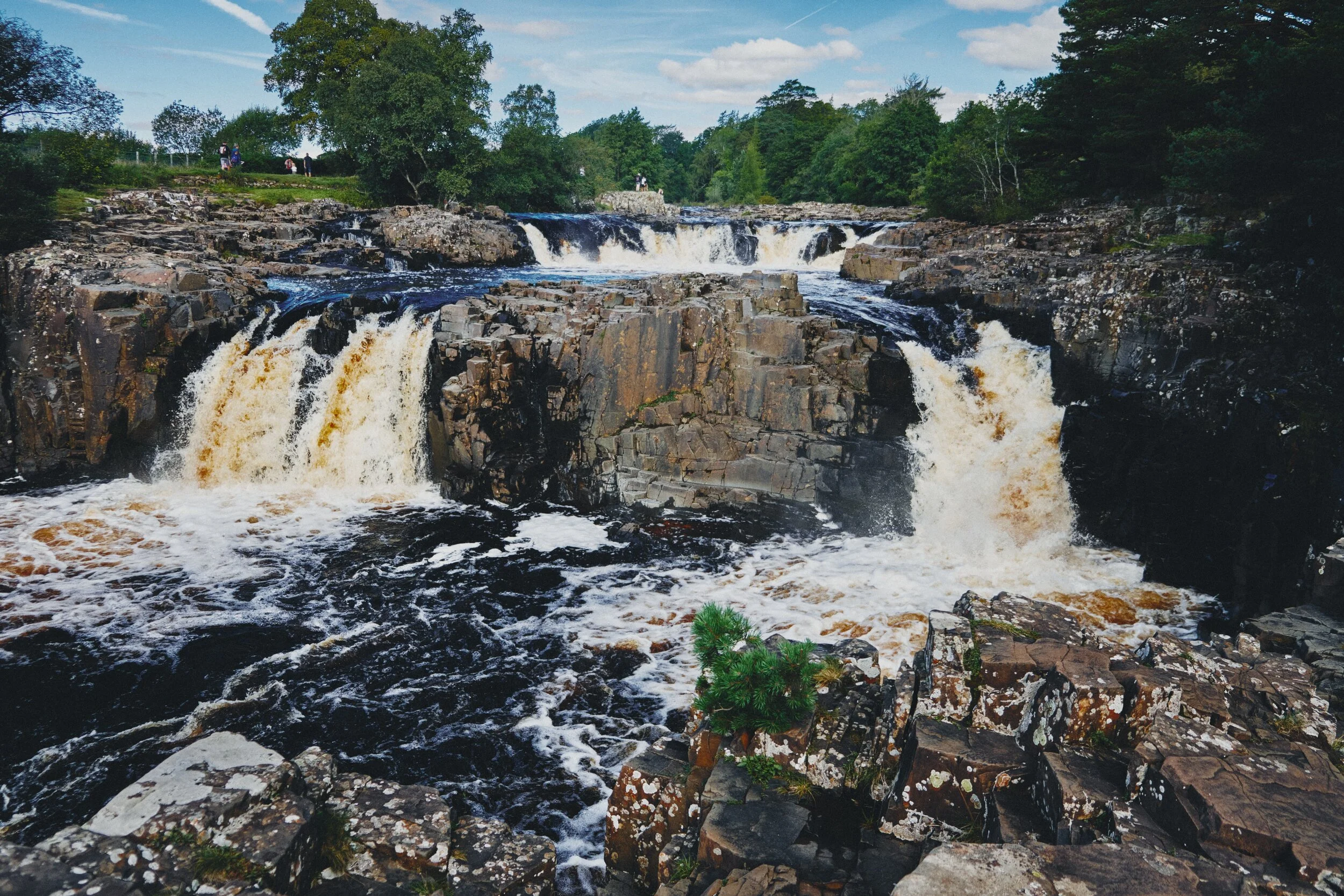Dscf2699_Export