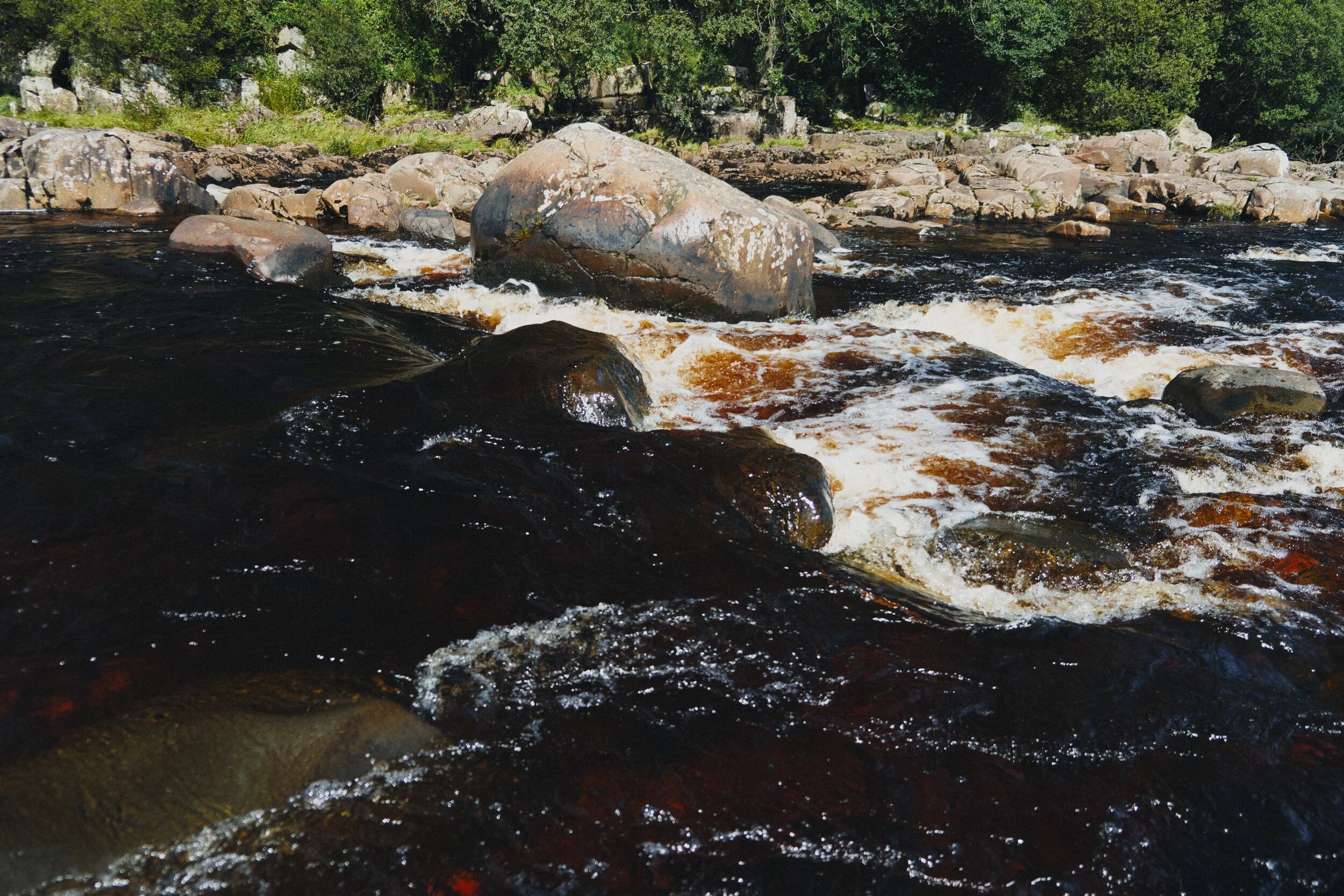 We sat right next to the Tees above High Force for our picnic lunch. The red-brown colour in the water is from all the peat the river carries from the moorland of the North Pennines.
