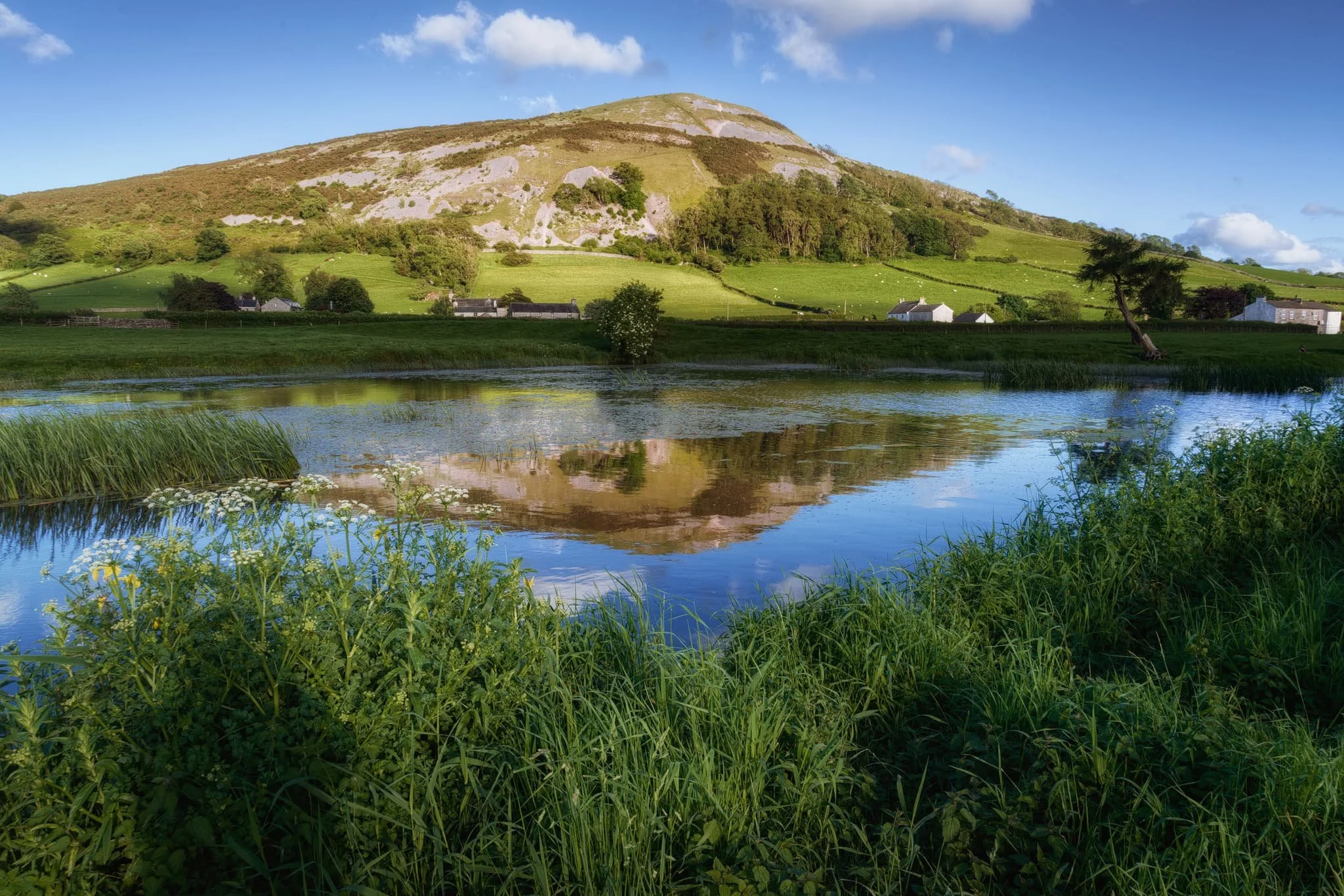 My favourite view anywhere on the Northern Reaches of Lancaster Canal. I managed to capture this reflection of Farleton Knott as the sun started to dip behind us.
