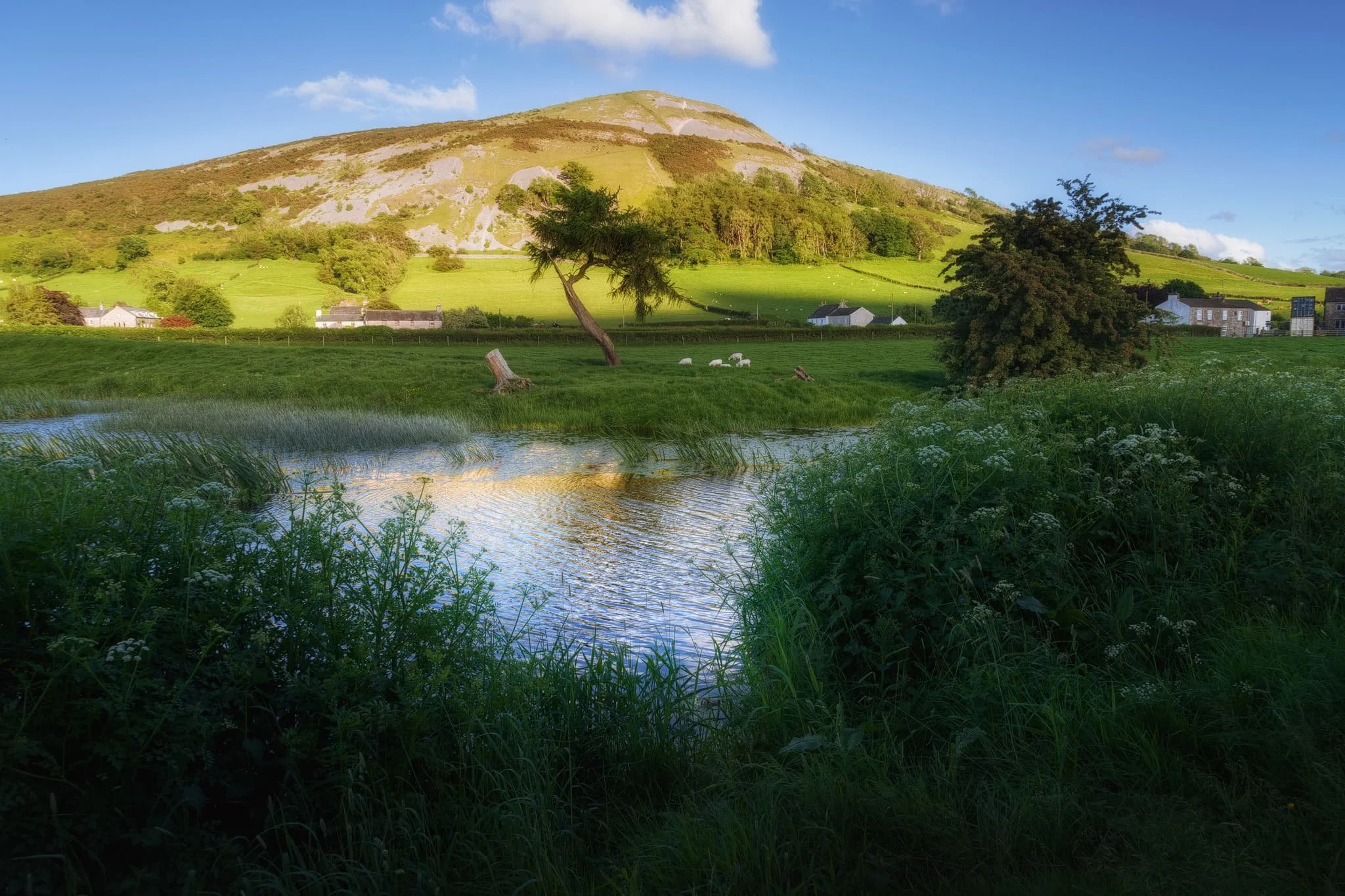 A little further up a small gap in the overgrown foliage allowed for another composition of Farleton Knott.