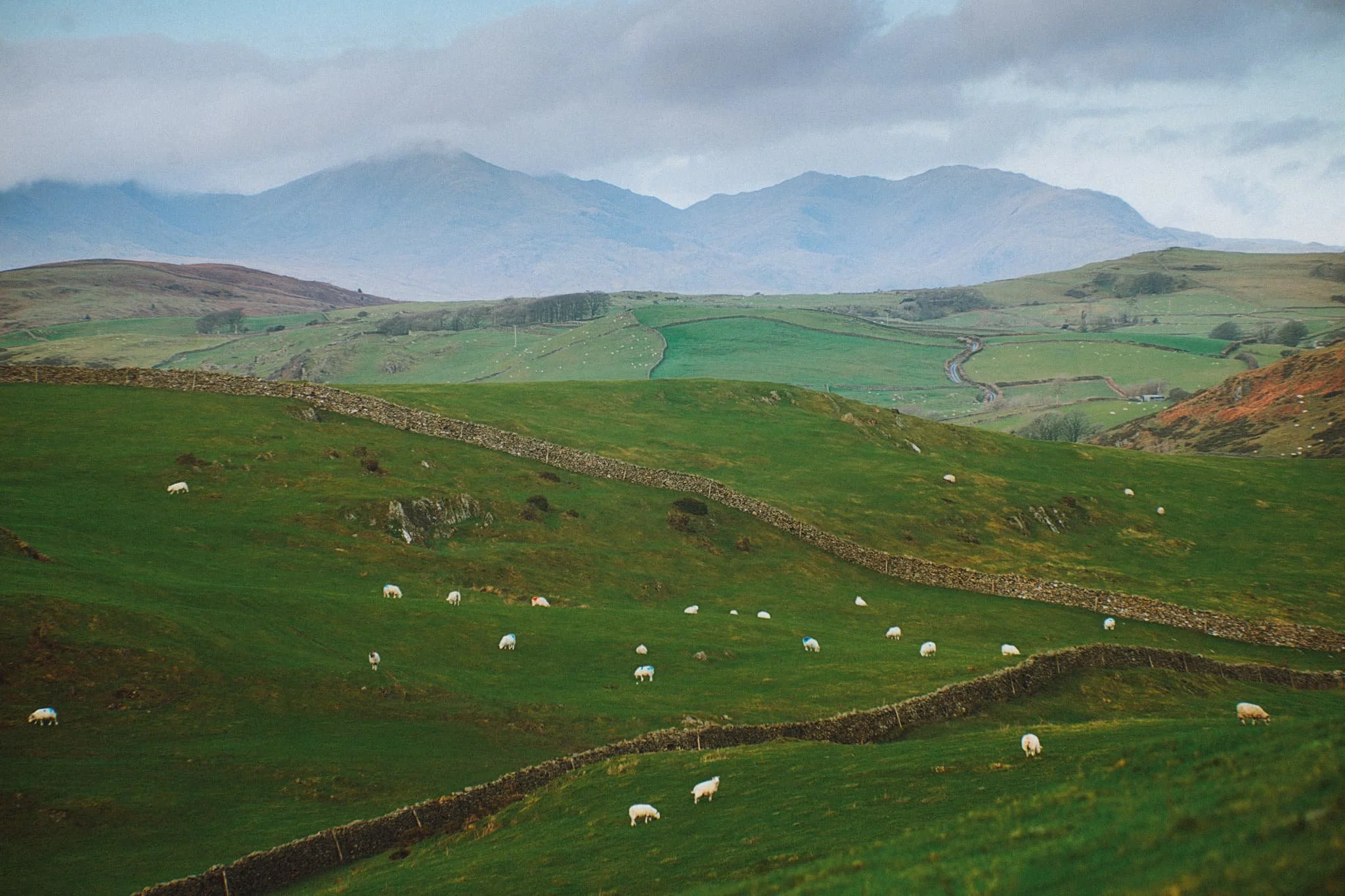 The view north from the Hoad couldn’t be more different. Rolling countryside, drystone walls, and sheep give way to the mighty Coniston Fells.