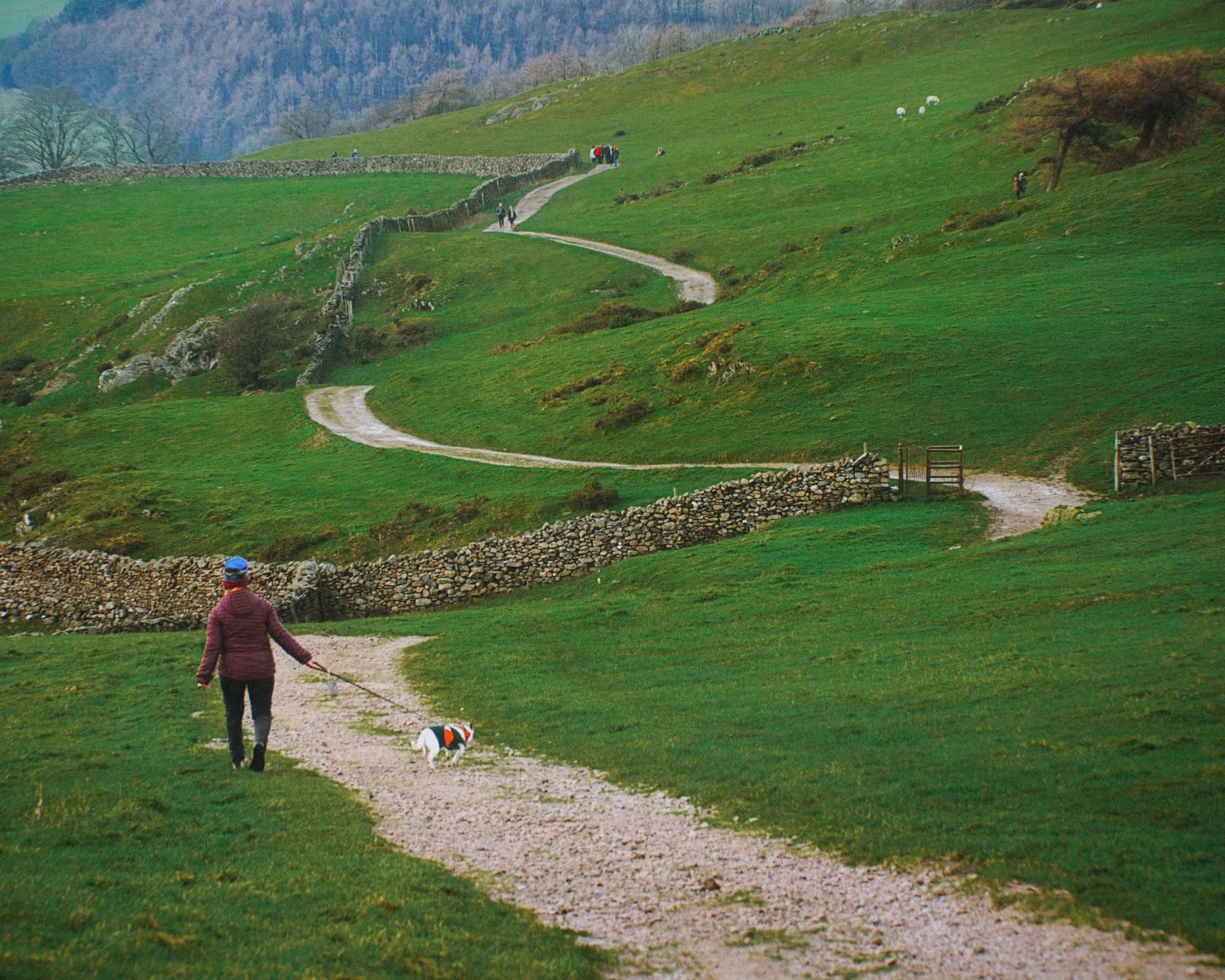The way back to Ulverston town. You know me, I can’t resist a winding path.