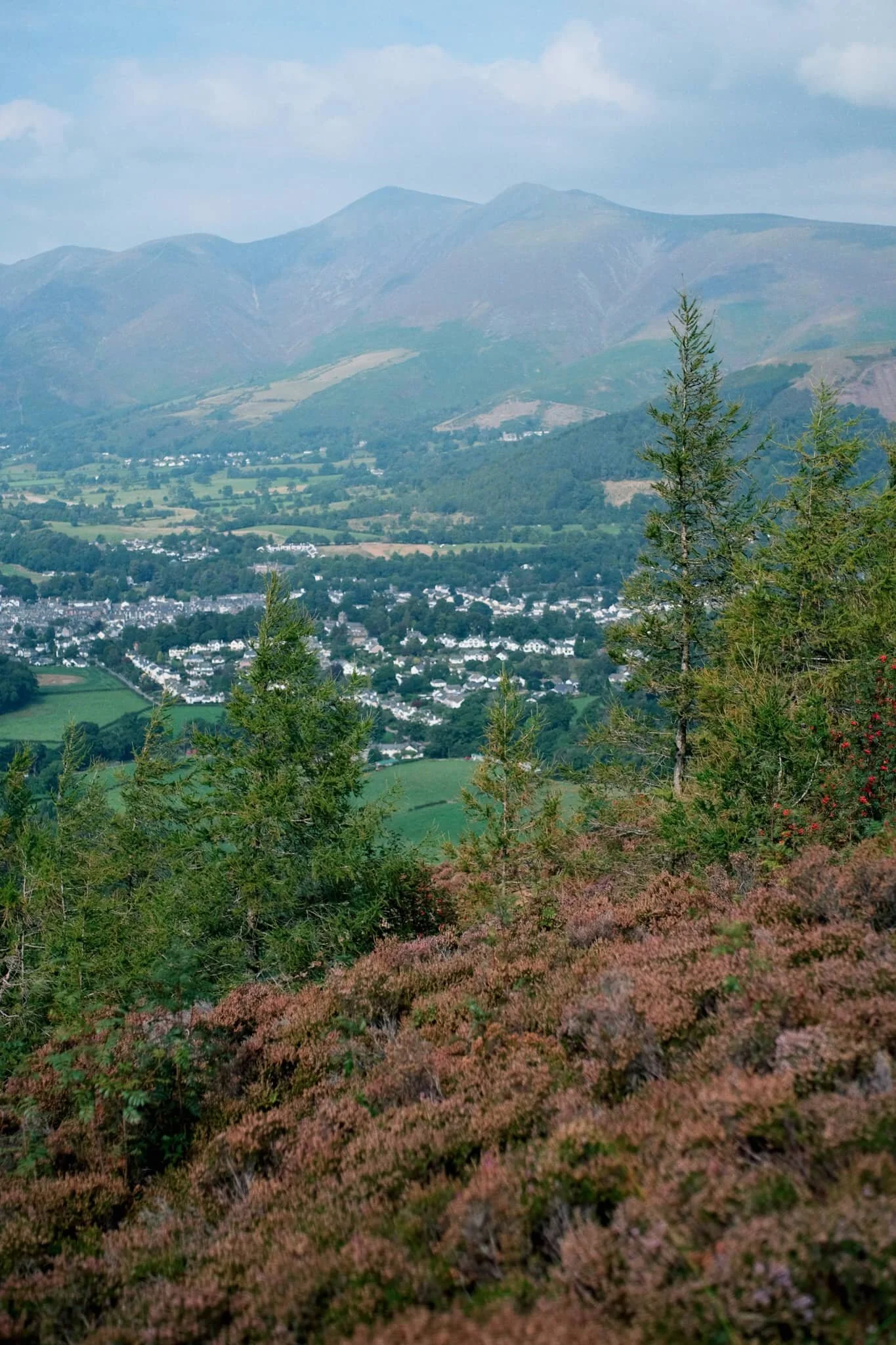 Another lovely aspect to Walla Crag’s environment is the sheer abundance of pink heather everywhere.