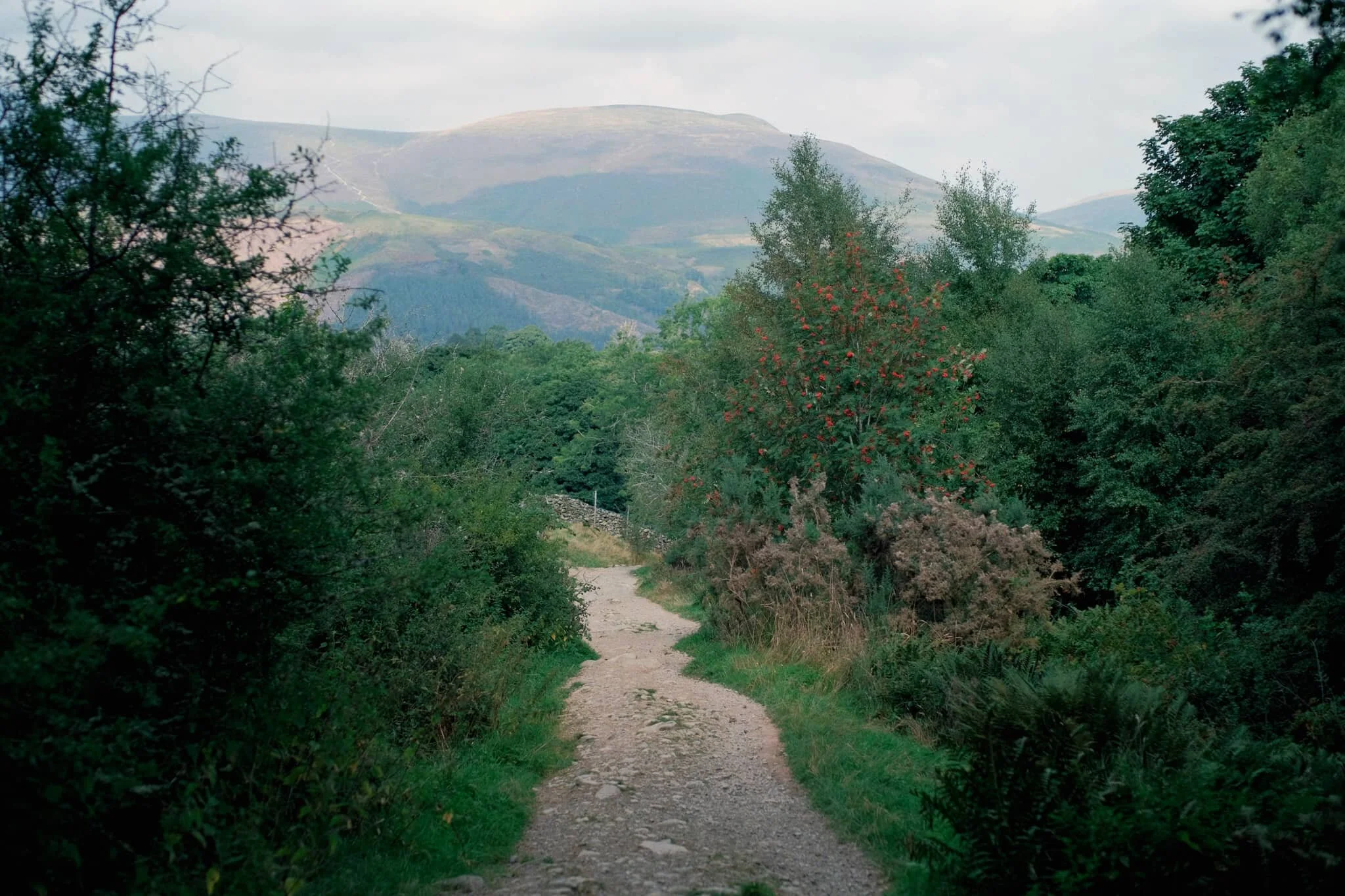 The trail starts rising, offering up views looking back towards the likes of Lonscale Fell (715 m/2,346 ft).
