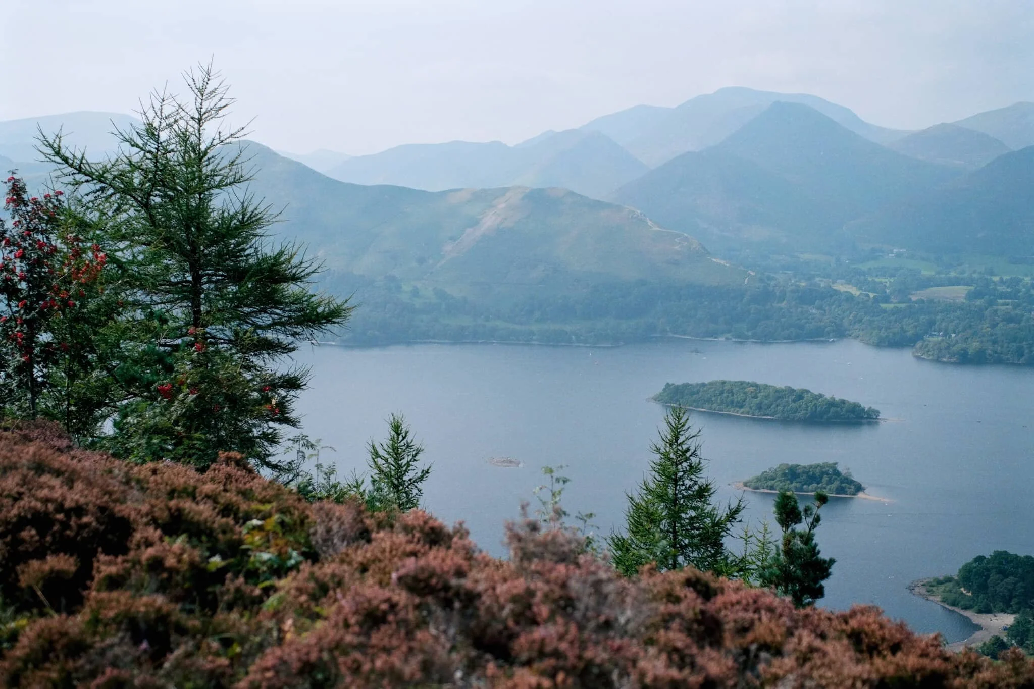 The water level at Derwentwater is ridiculously low. New gravelly islands are reappearing and existing ones are gaining new shores.