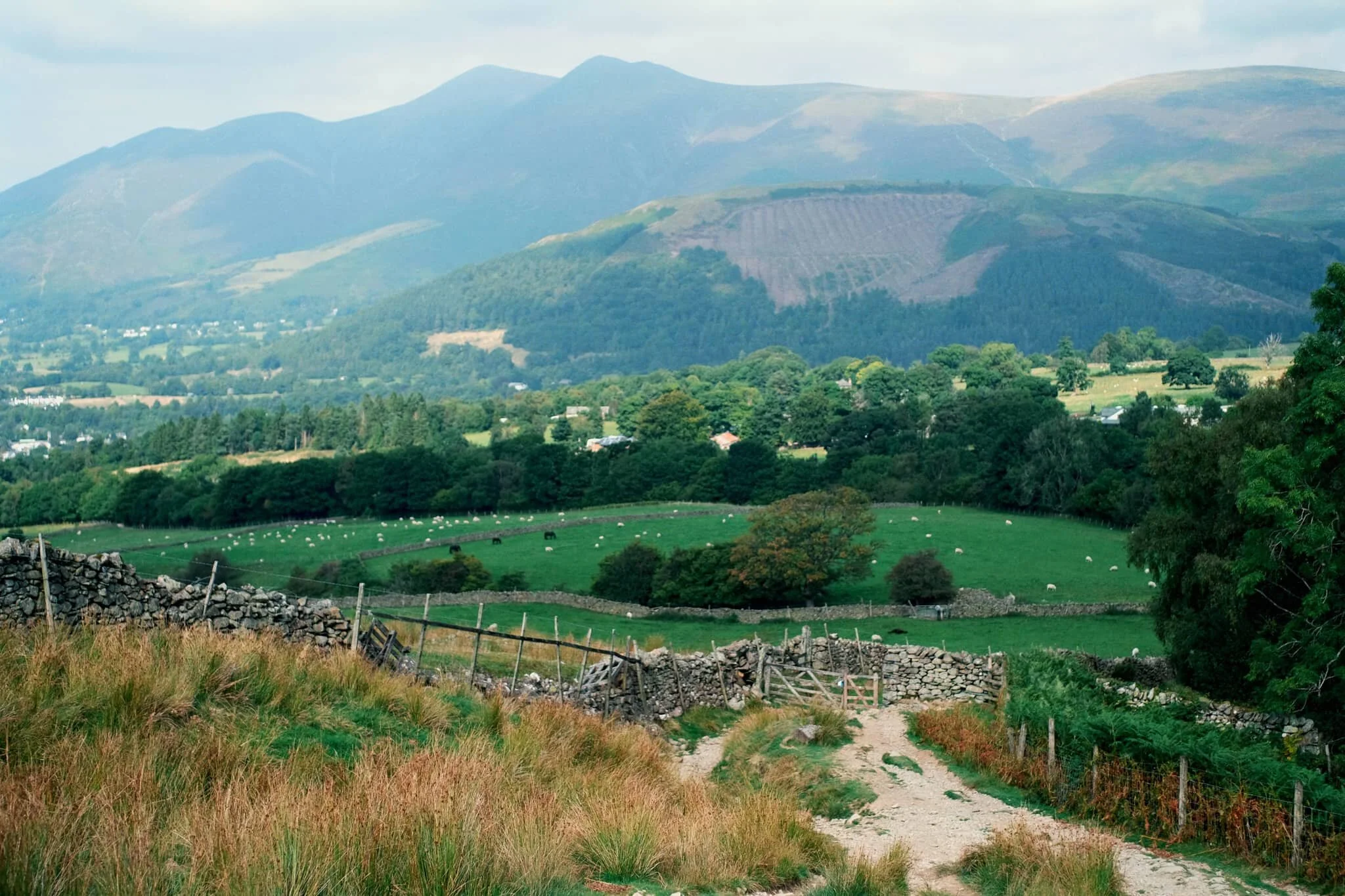 By now the full profile of Skiddaw, its fells, and the smooth profile of Latrigg are fully exposed. It’s turning out to be a crackin’ day.