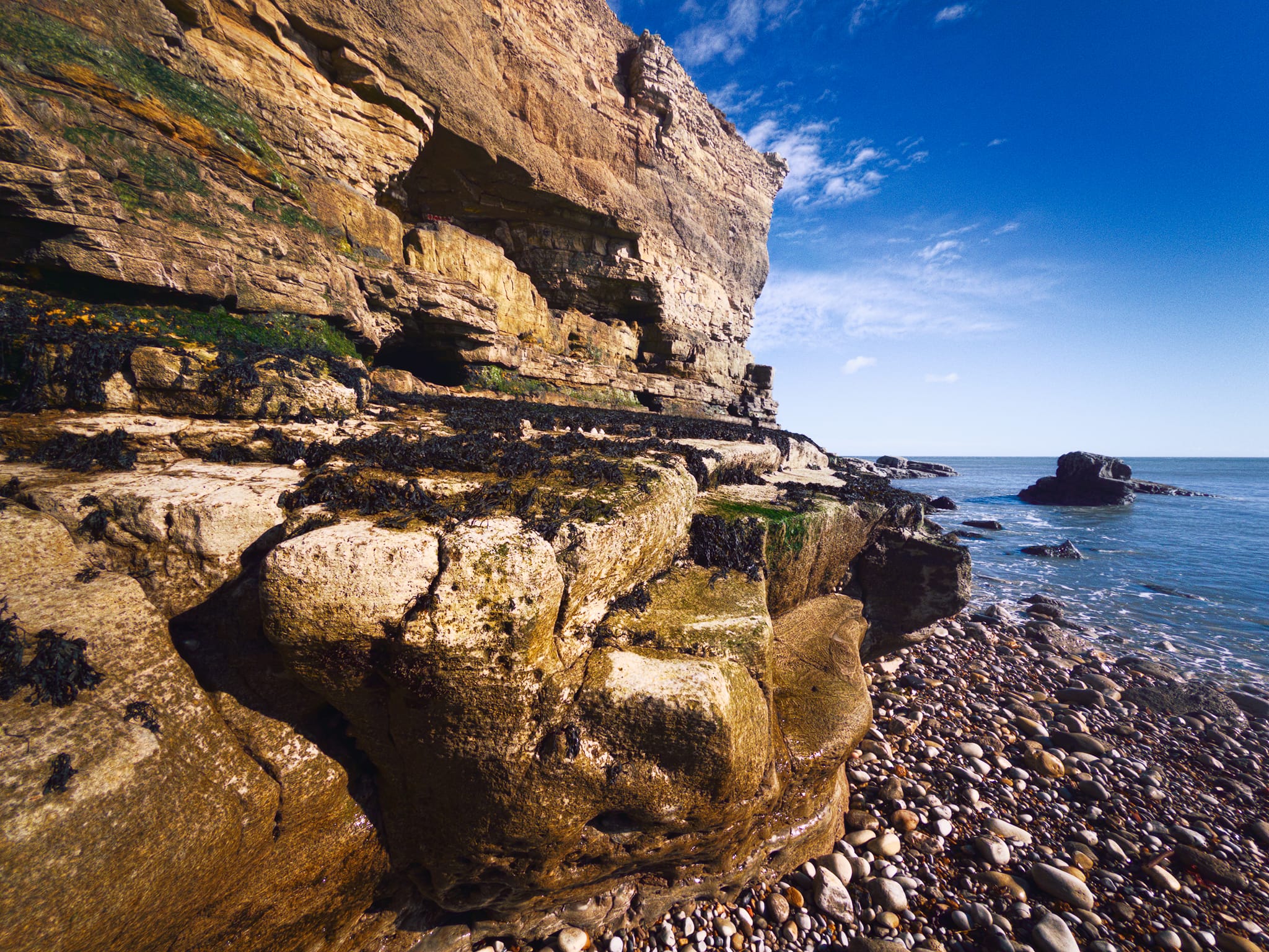 The cliff’s terraced structure features harder Magnesian Limestone beds that resisted erosion longer than adjacent layers. The holes higher up are small caves from wave action exploiting joints over centuries, now well above the current waterline, indicating significant retreat.