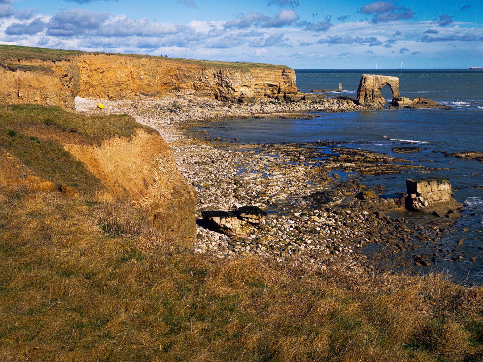 Back up above the cliffs, Whitburn’s sea arch comes into view again. All around us and out to sea are the cries of a whole host of birds: purple sandpipers and turnstones from Scandinavia, sanderlings, ringed plovers and redshanks too. And, of course, the ever-present seagull.